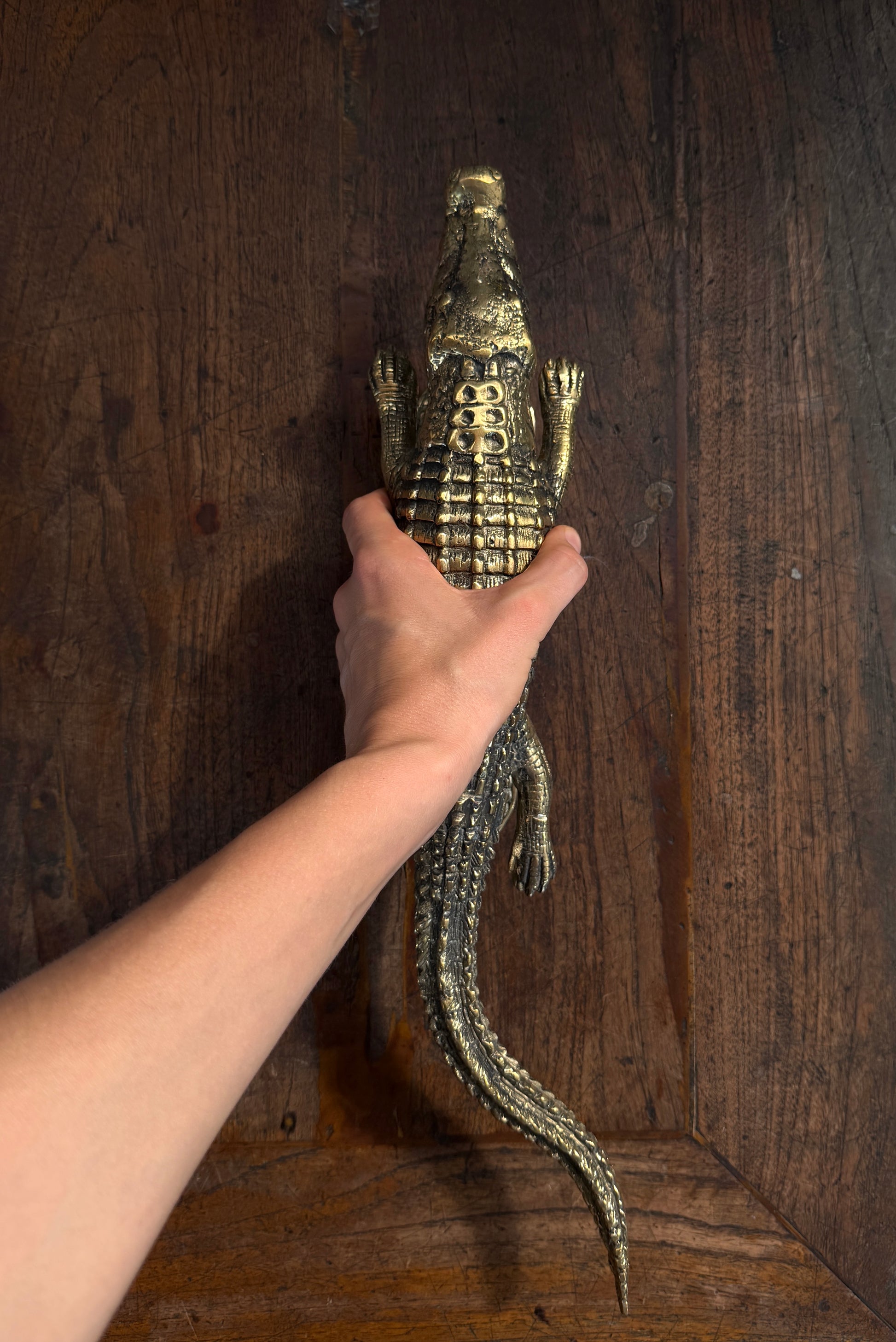Brass Door Handle Alligator