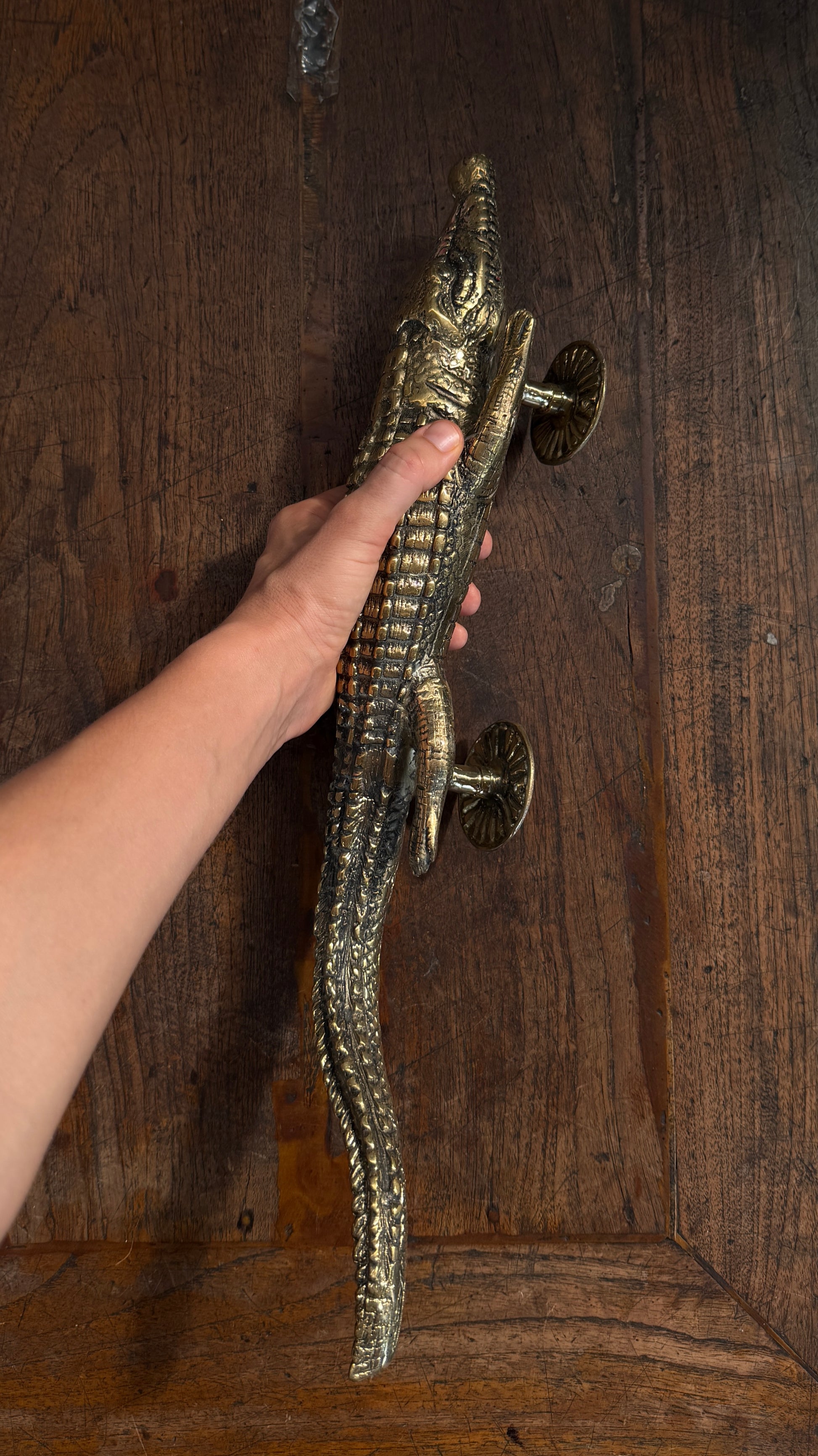 Brass Door Handle Alligator