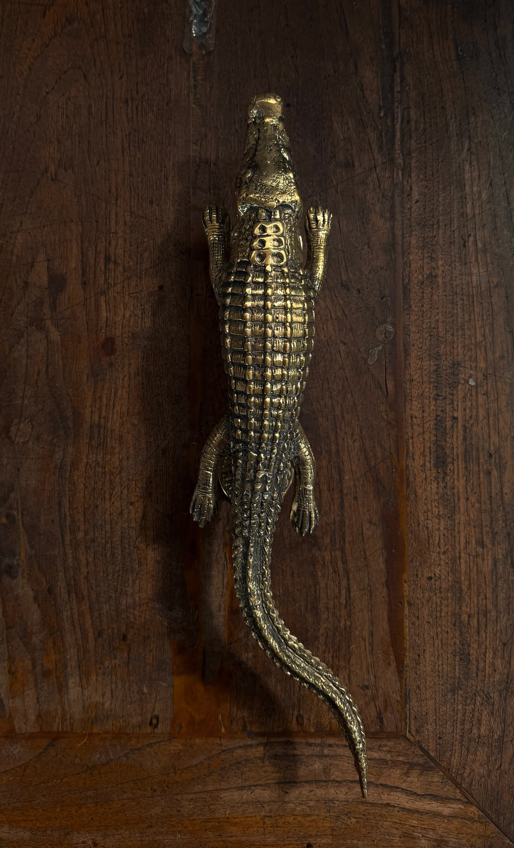 Brass Door Handle Alligator