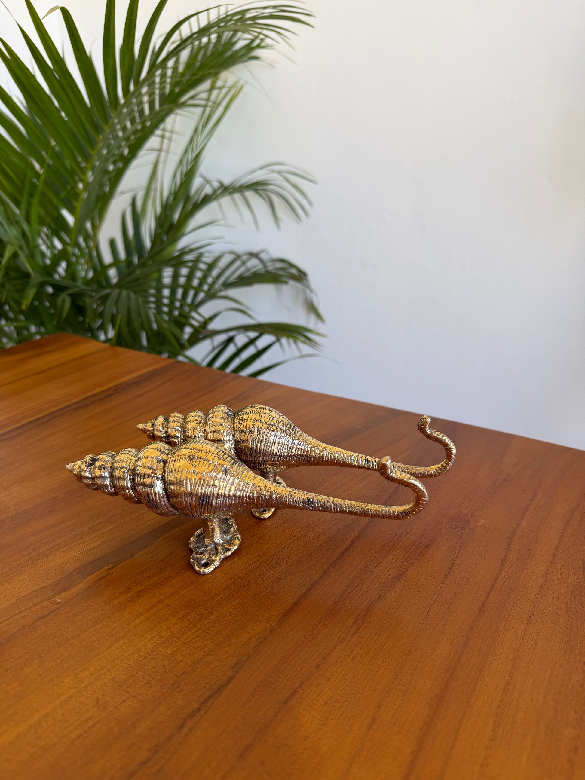 Brass Seashell Wall Hook