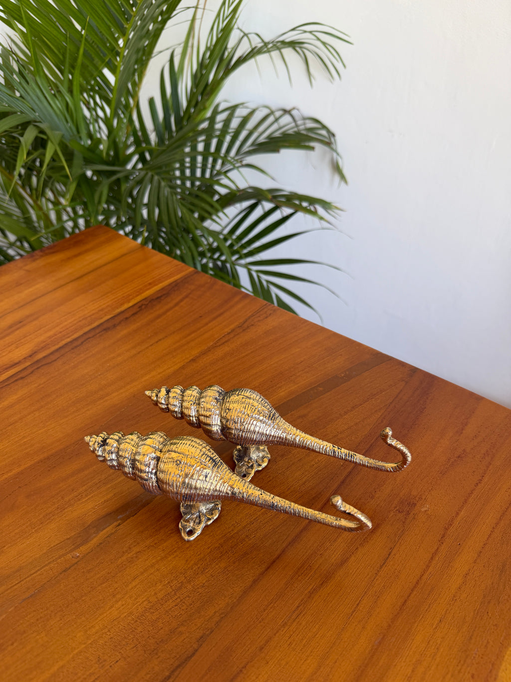 Brass Seashell Wall Hook