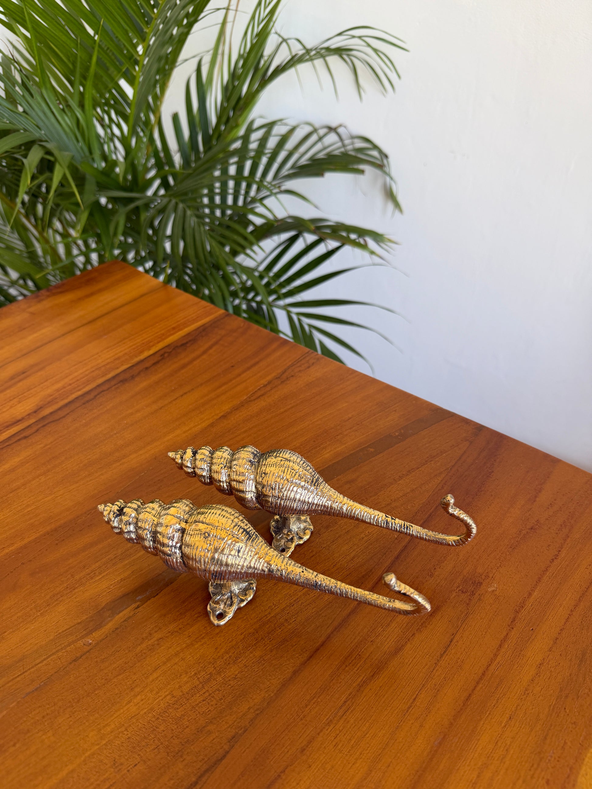 Brass Seashell Wall Hook