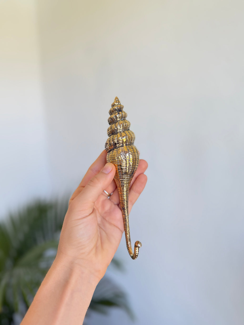 Brass Seashell Wall Hook
