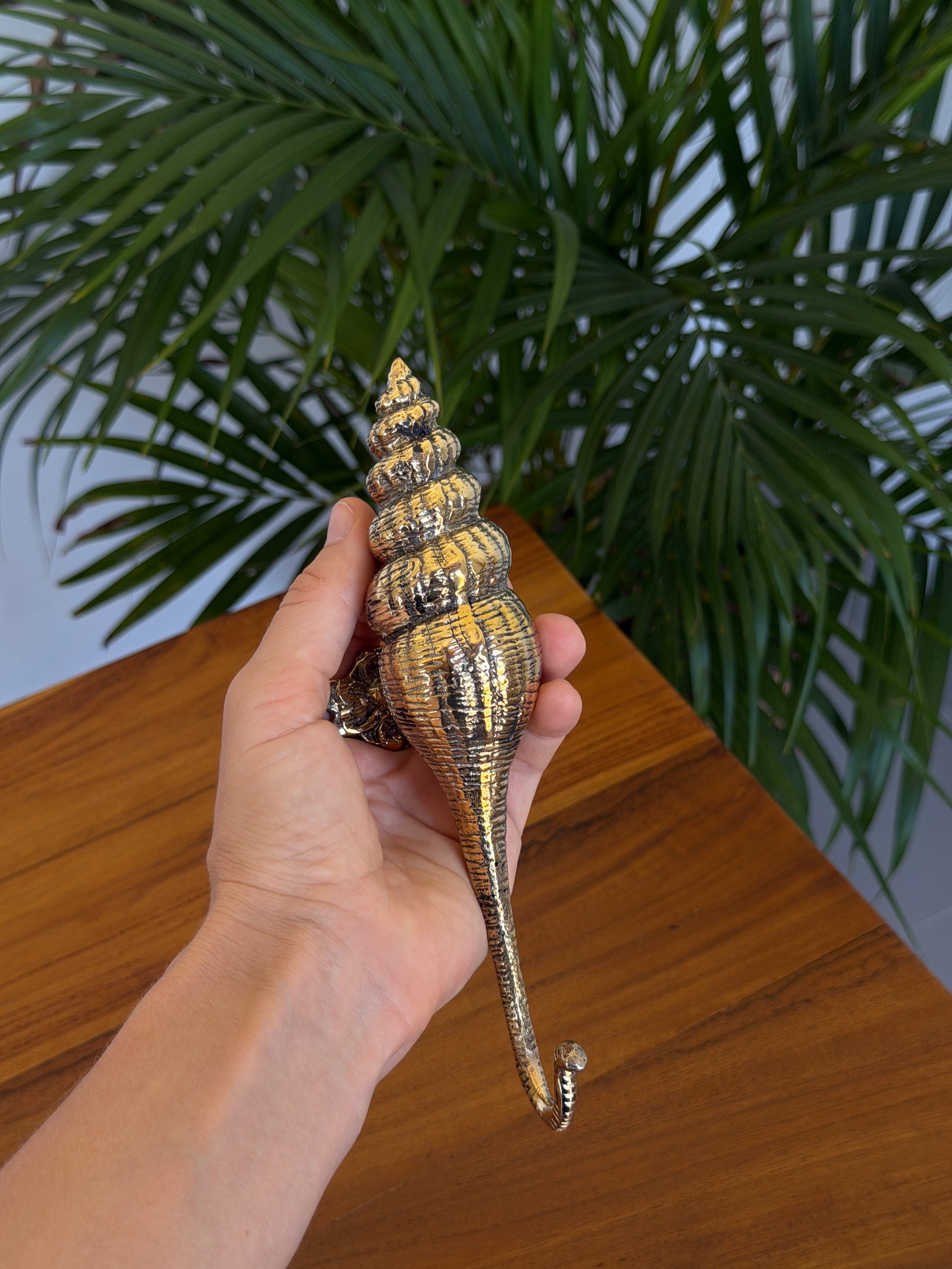 Brass Seashell Wall Hook