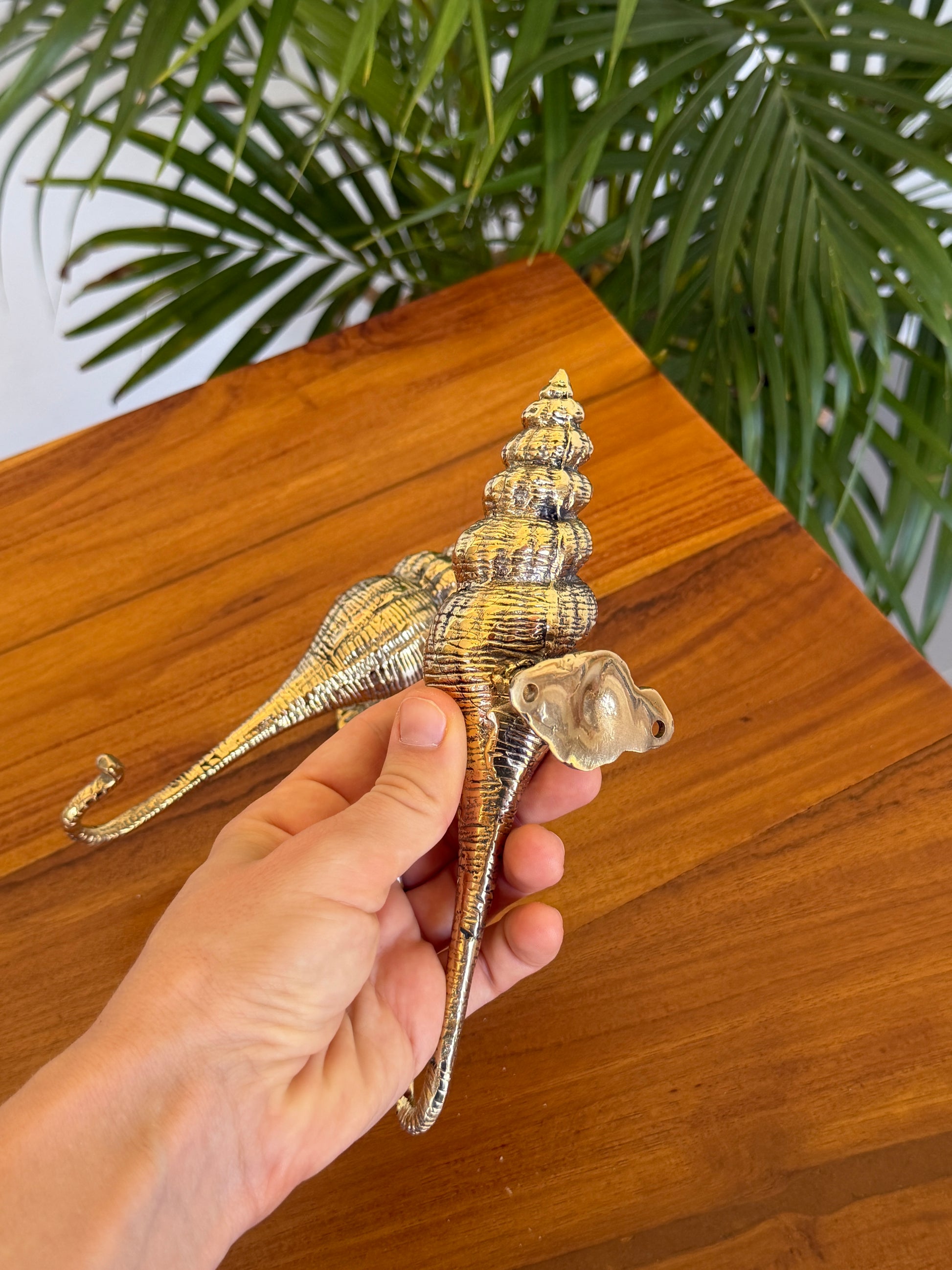 Brass Seashell Wall Hook