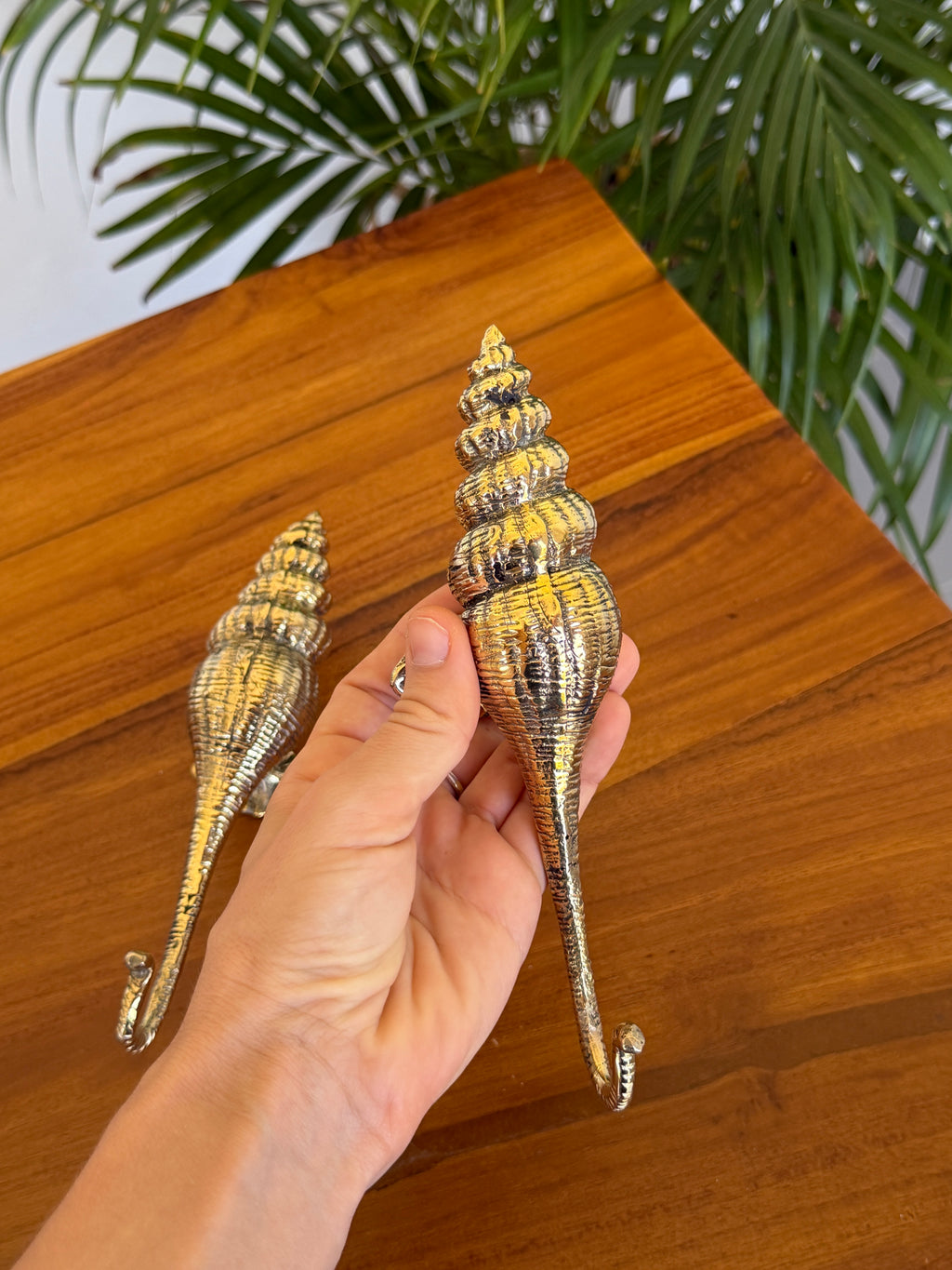 Brass Seashell Wall Hook
