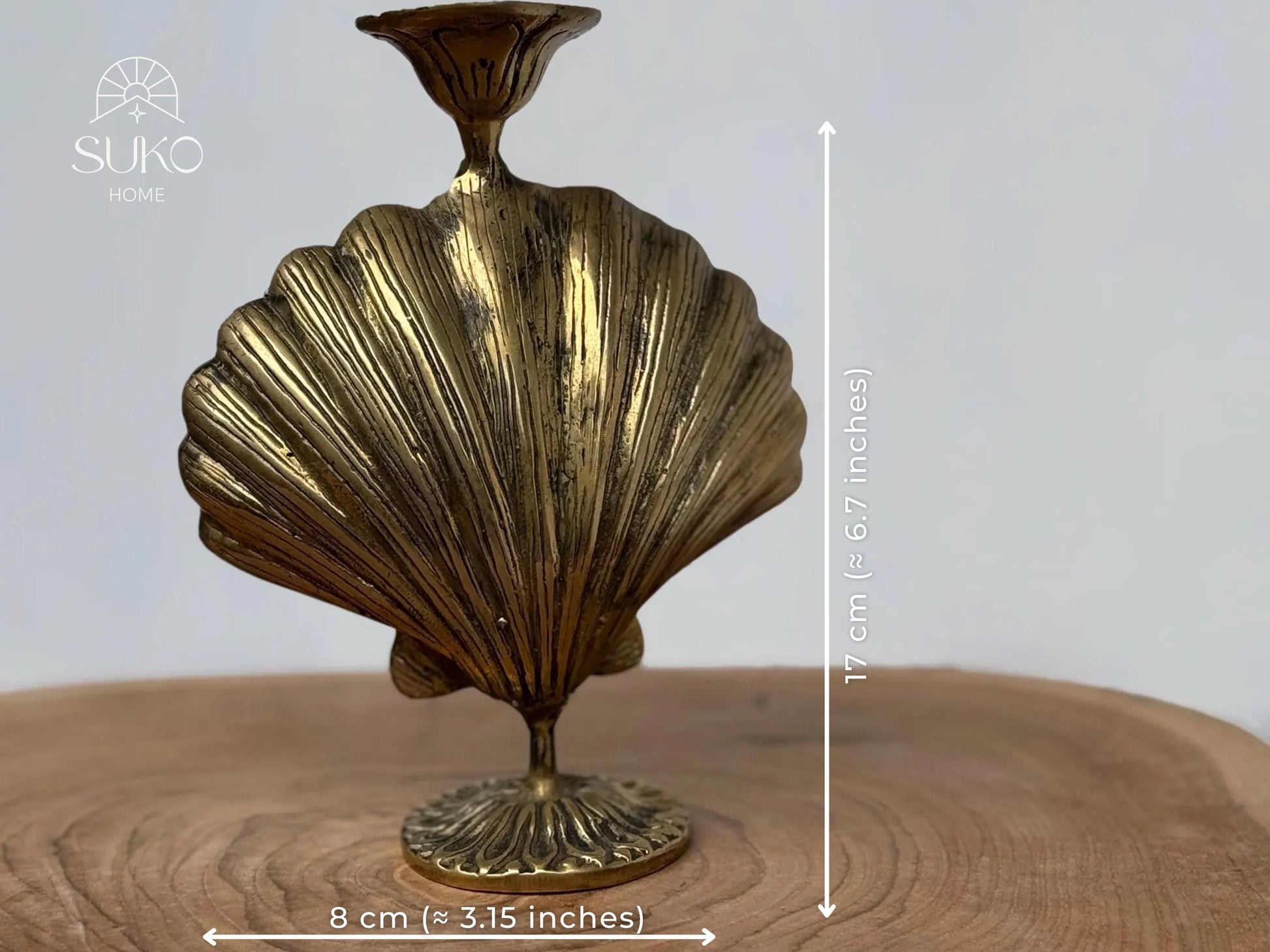 Shell Candle Holder