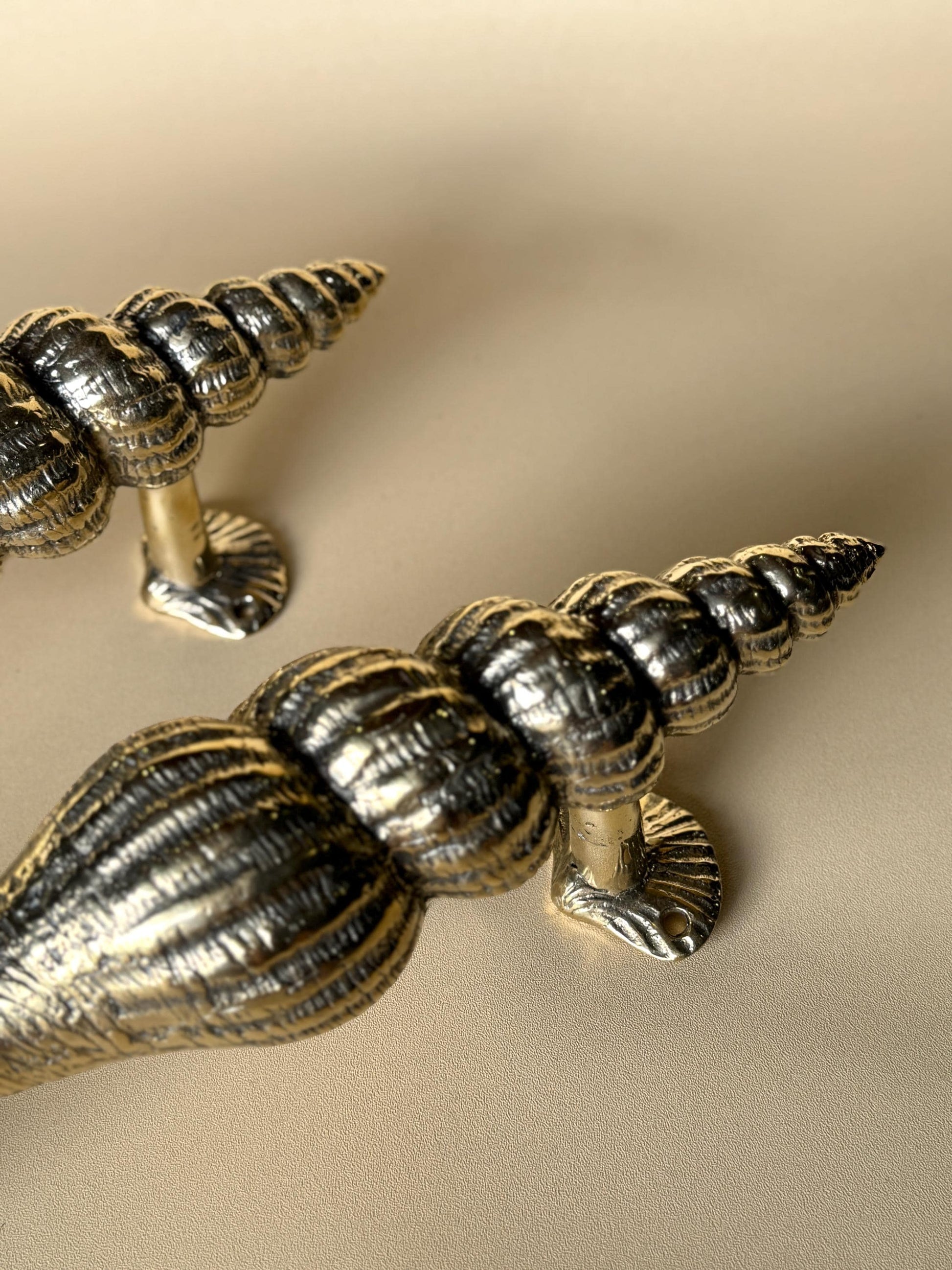 Seashell Brass Door Handle