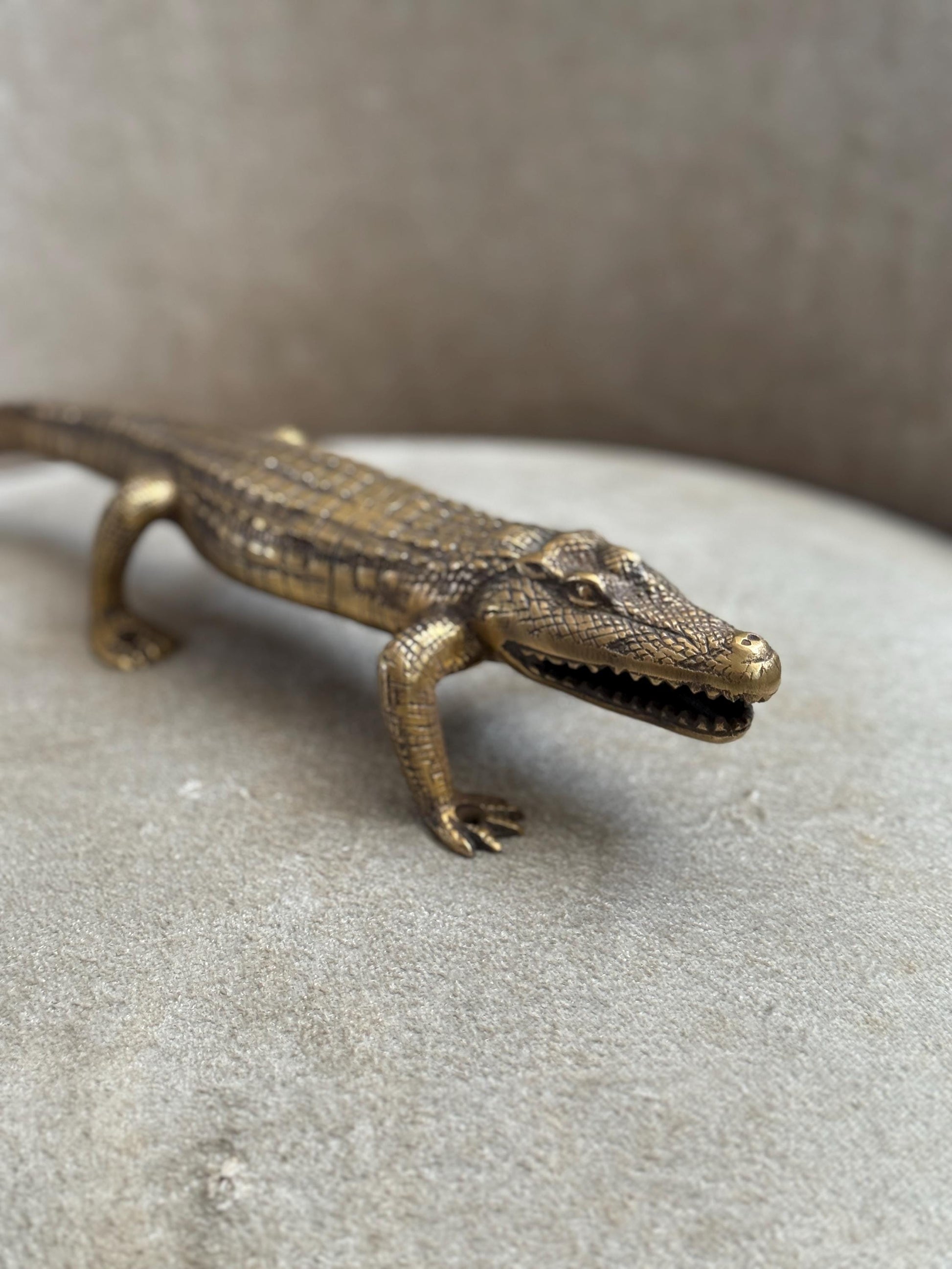 Brass Alligator Door Handle