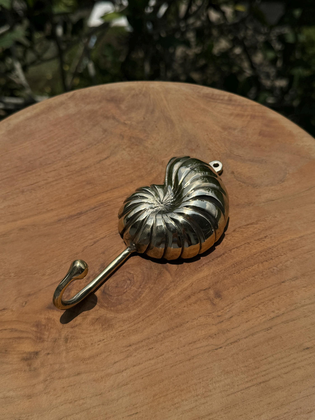 Brass Seashell Hook | Coastal Home & Nautical Decor