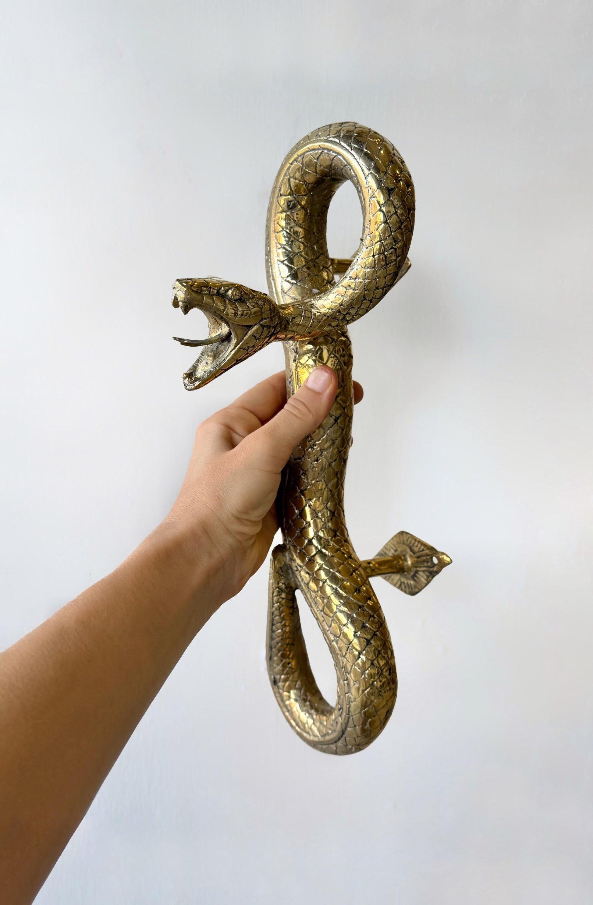 Brass Snake Door Handle