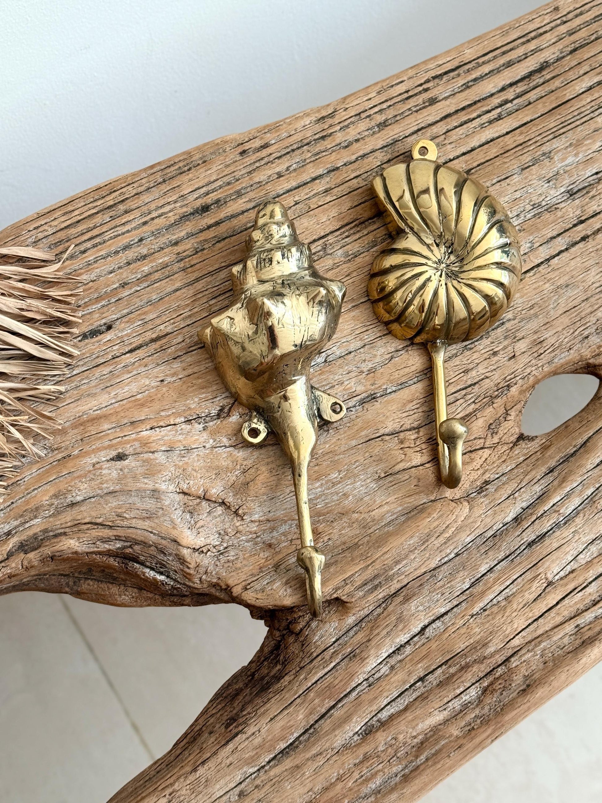 Brass Seashell Hook | Coastal Home & Nautical Decor