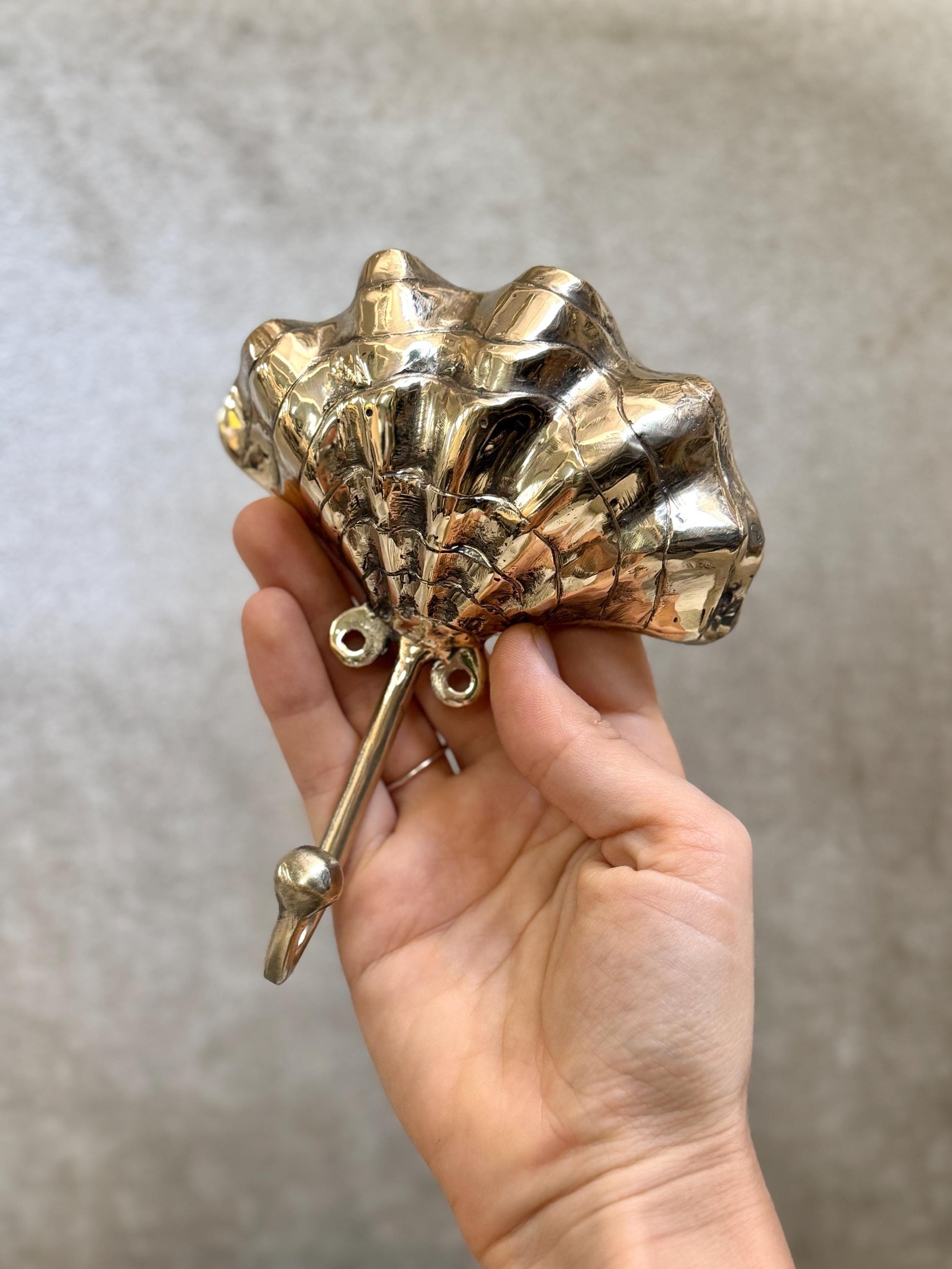 Brass Seashell Hook