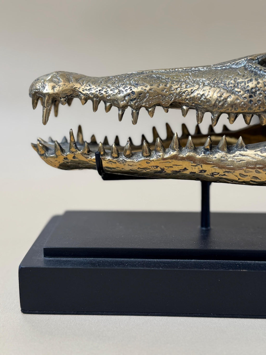 Gold Crocodile Skull Statue on Stand