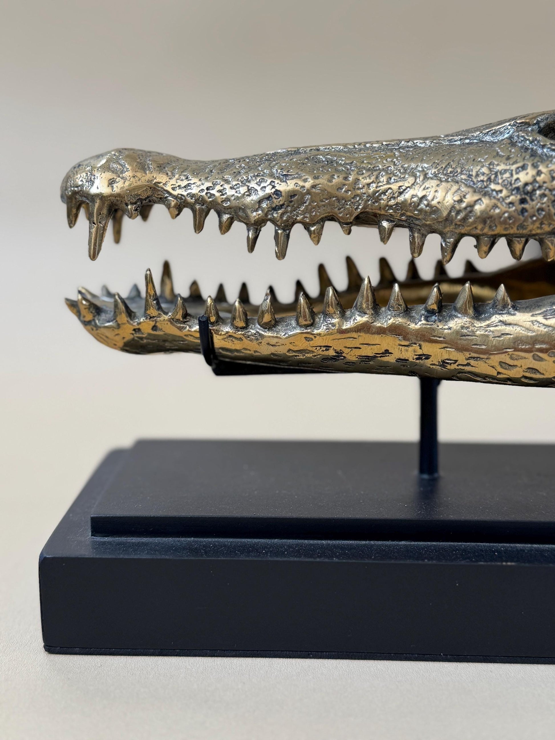 Gold Crocodile Skull Statue on Stand