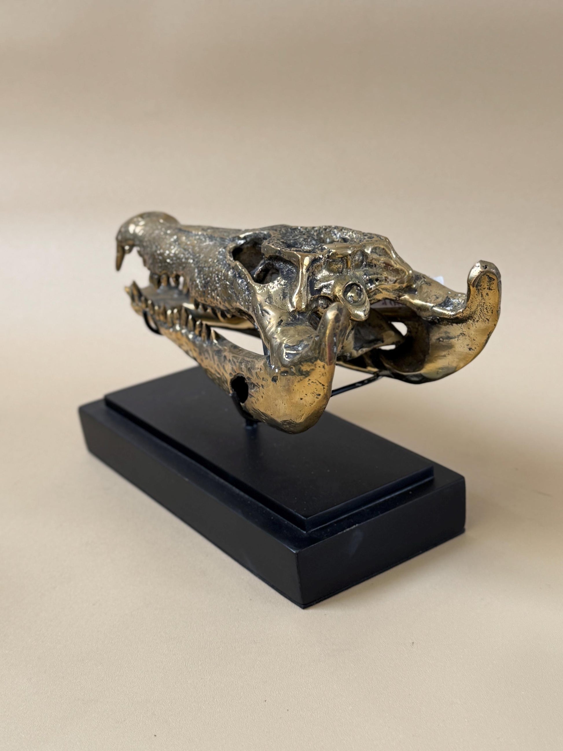 Gold Crocodile Skull Statue on Stand