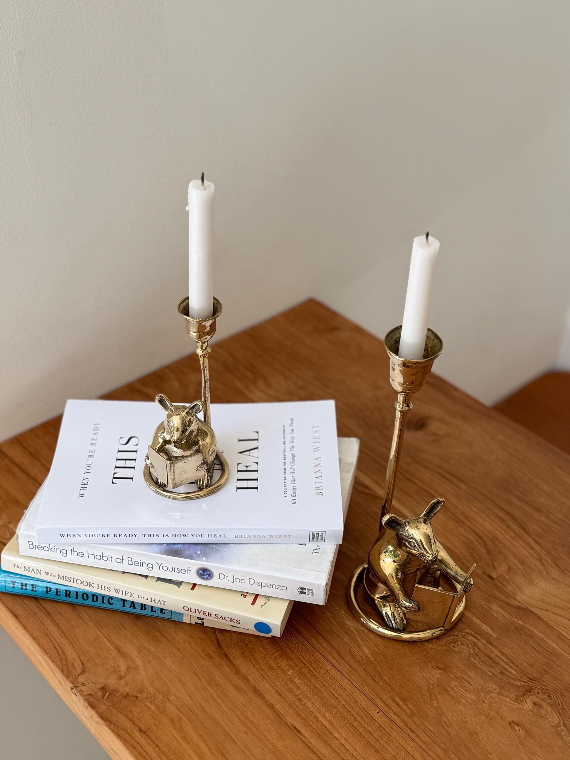 Bali Brass Mouse candleholder BookShelf Taper – Vintage Decor