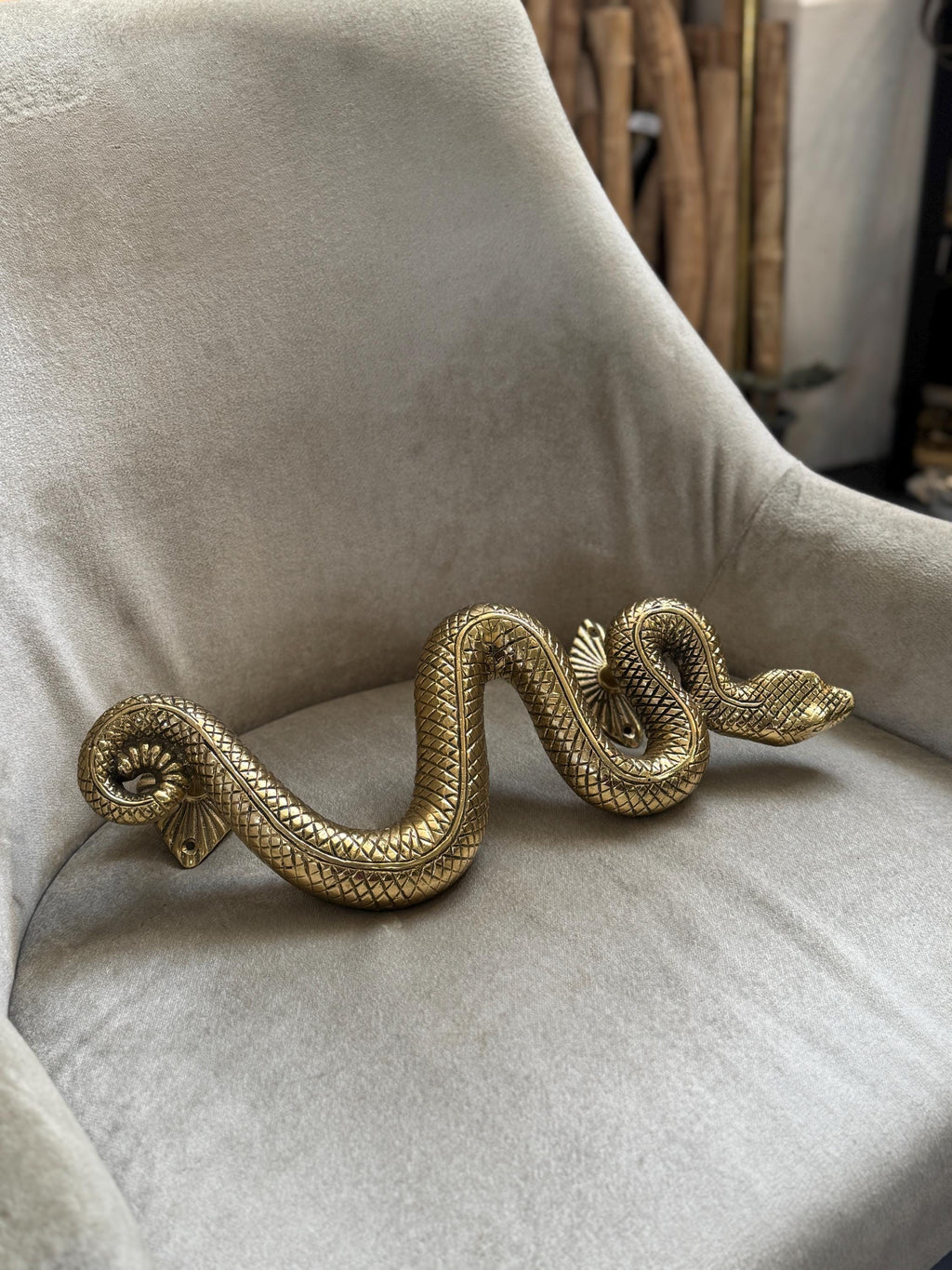 Brass Snake Door Handle