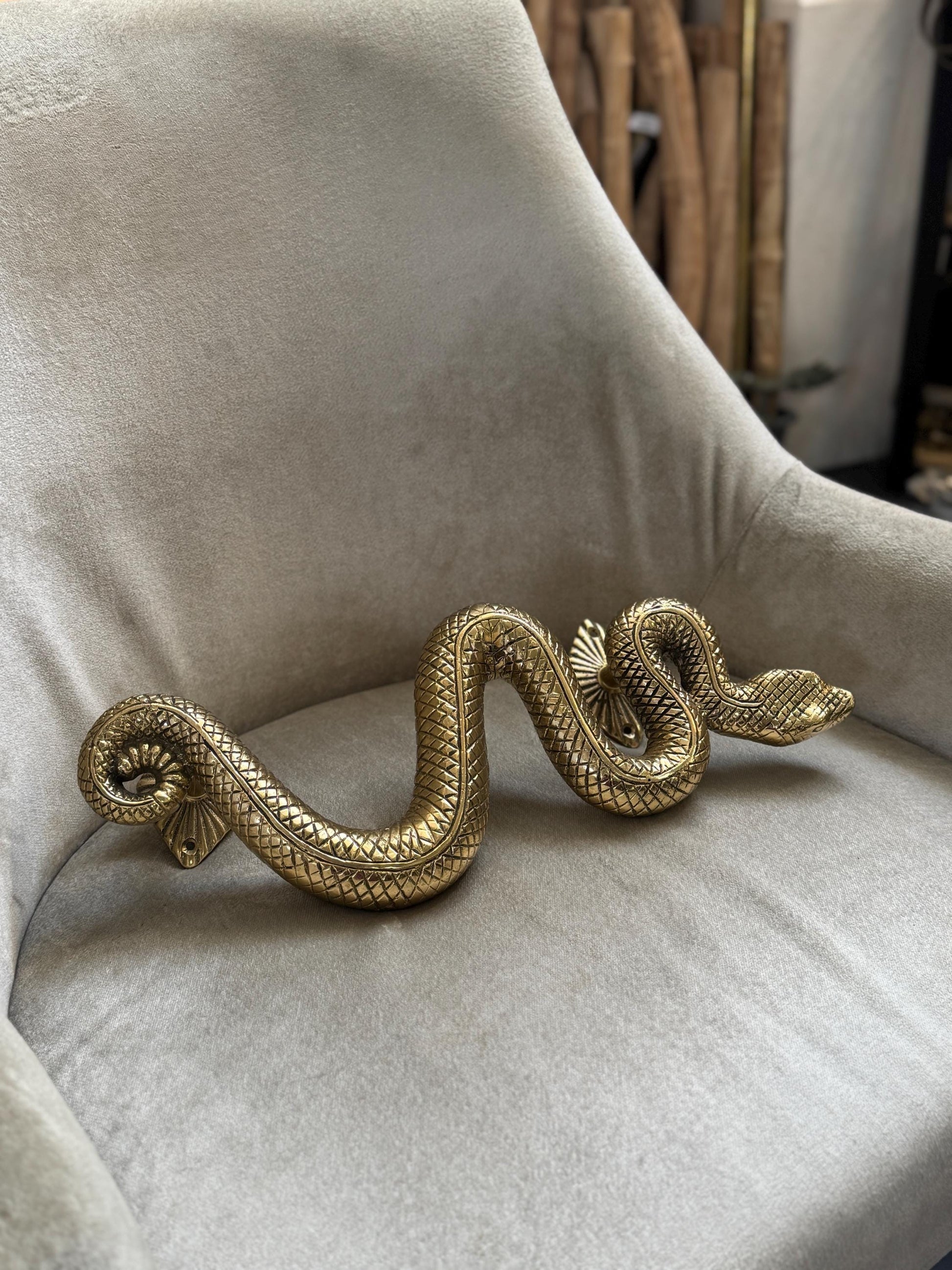 Brass Snake Door Handle