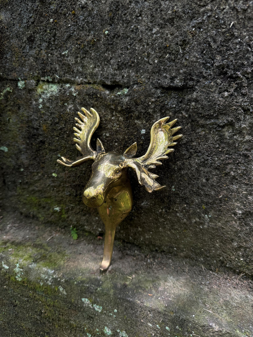 Wall Hook Moose