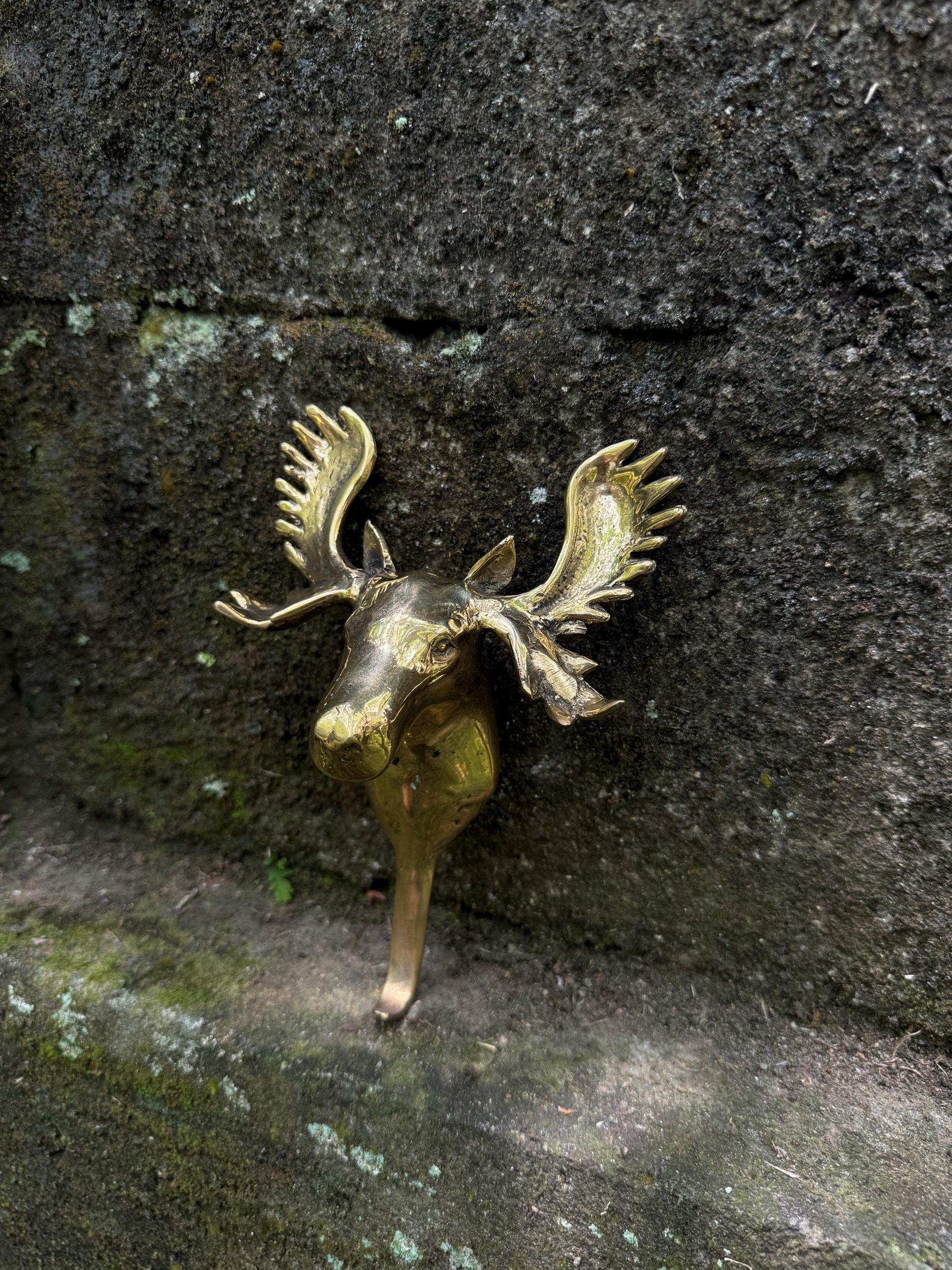 Wall Hook Moose