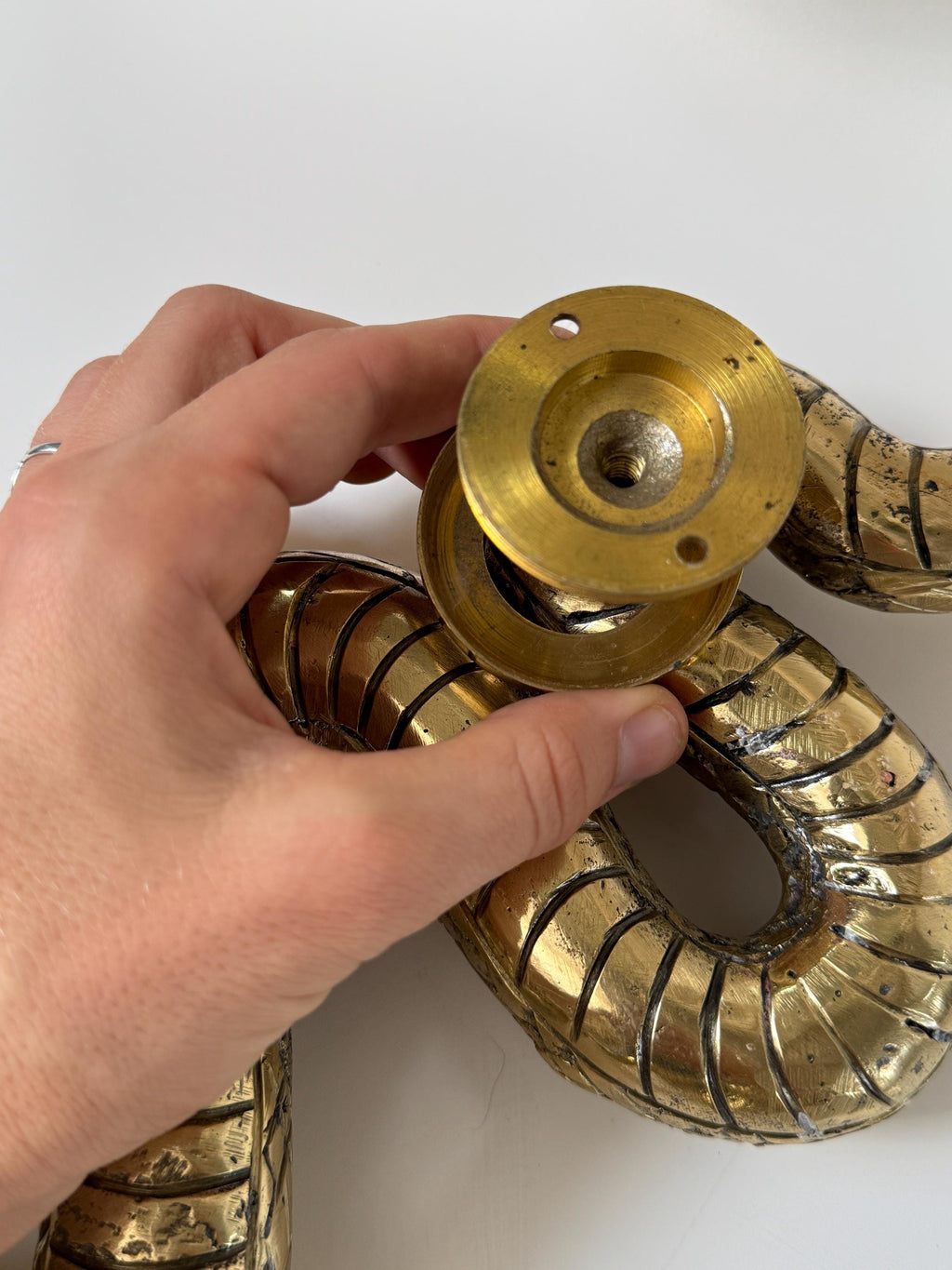 Brass Snake Door Handle