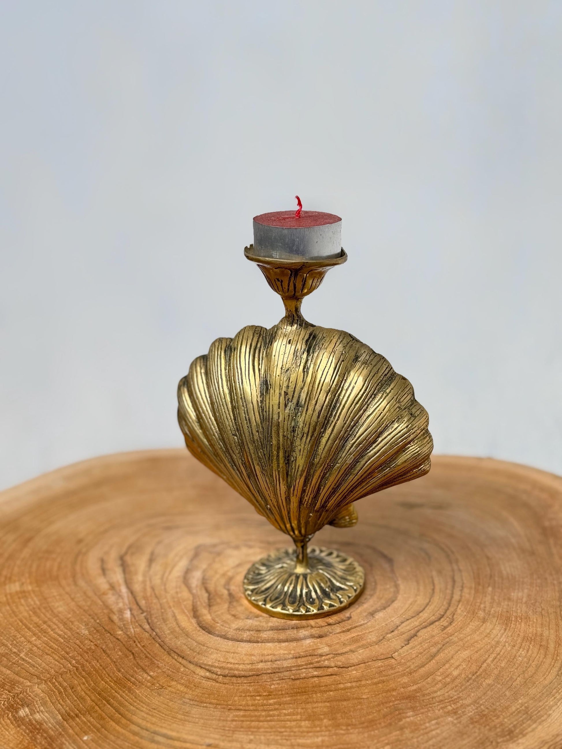 Shell Candle Holder
