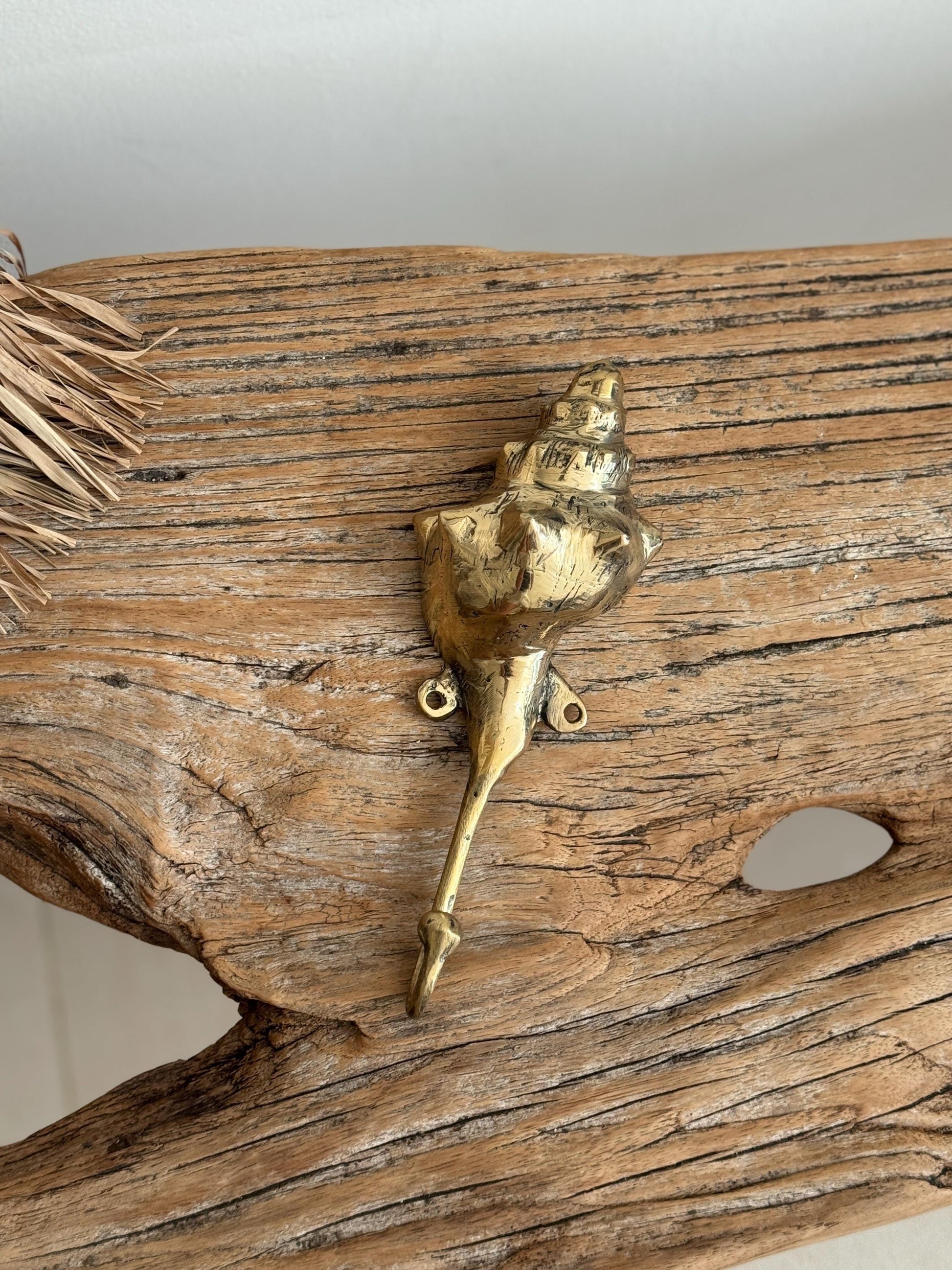 Brass Seashell Wall Hook