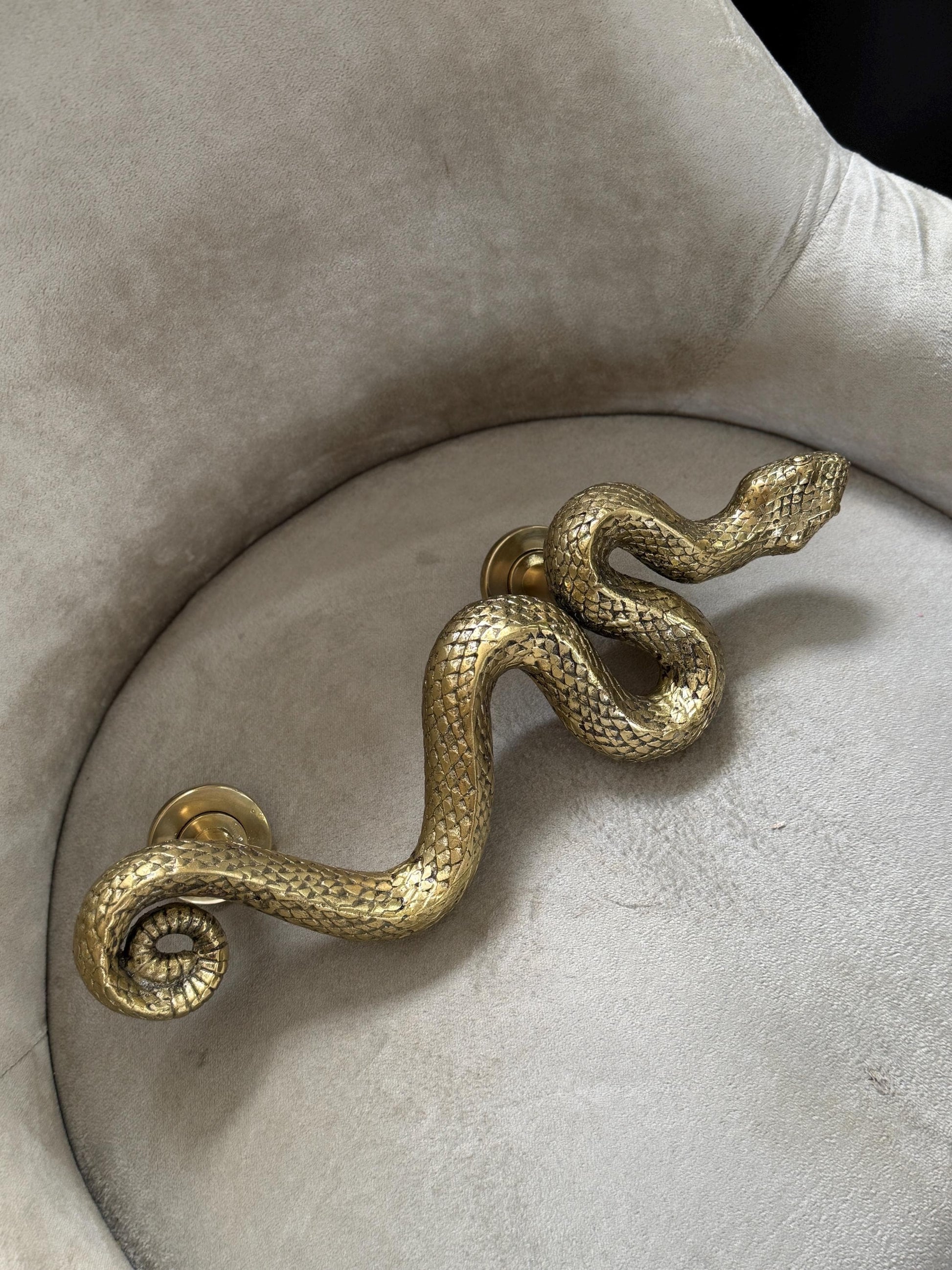 Brass Snake Door Handle