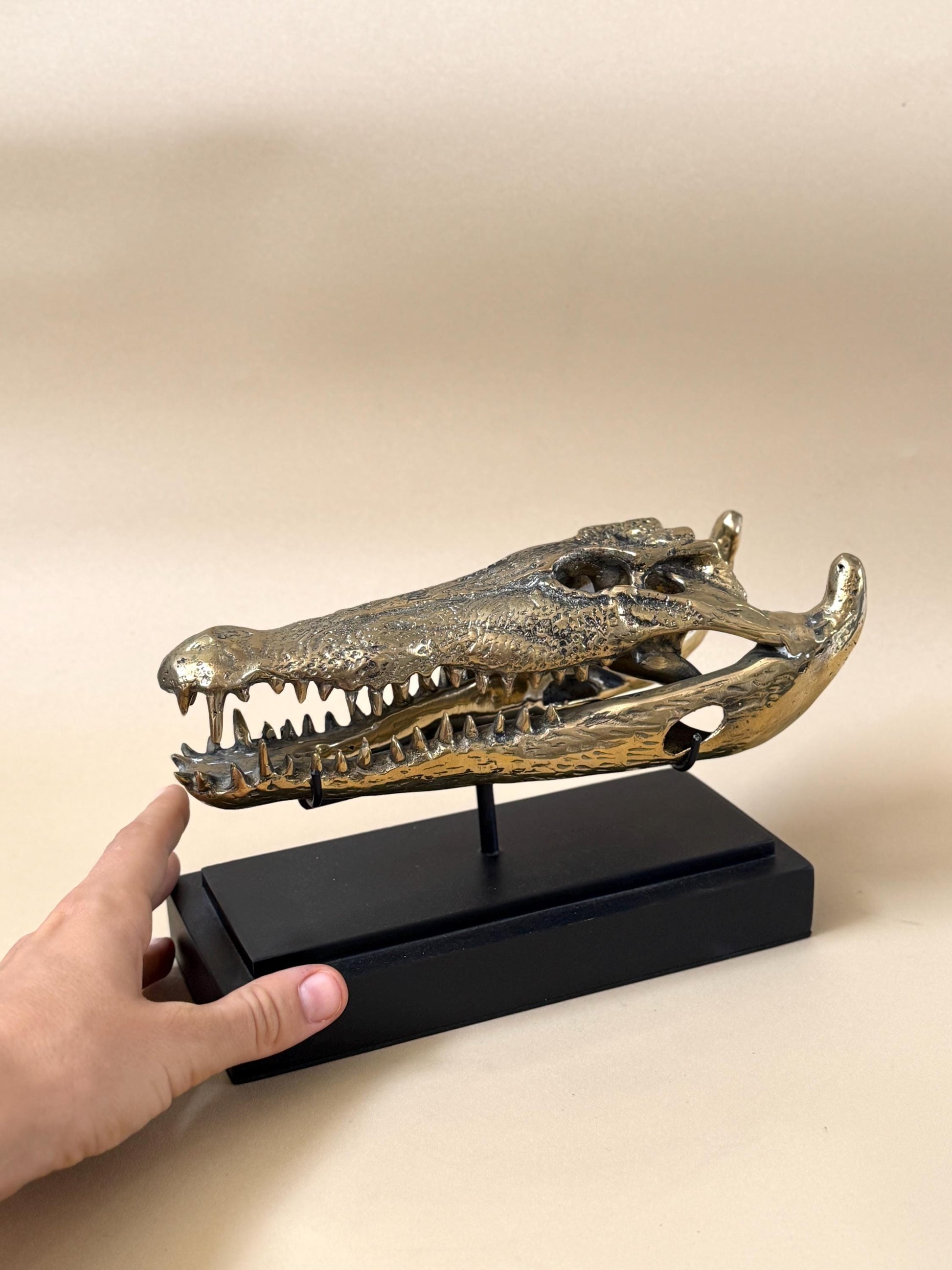 Gold Crocodile Skull Statue on Stand