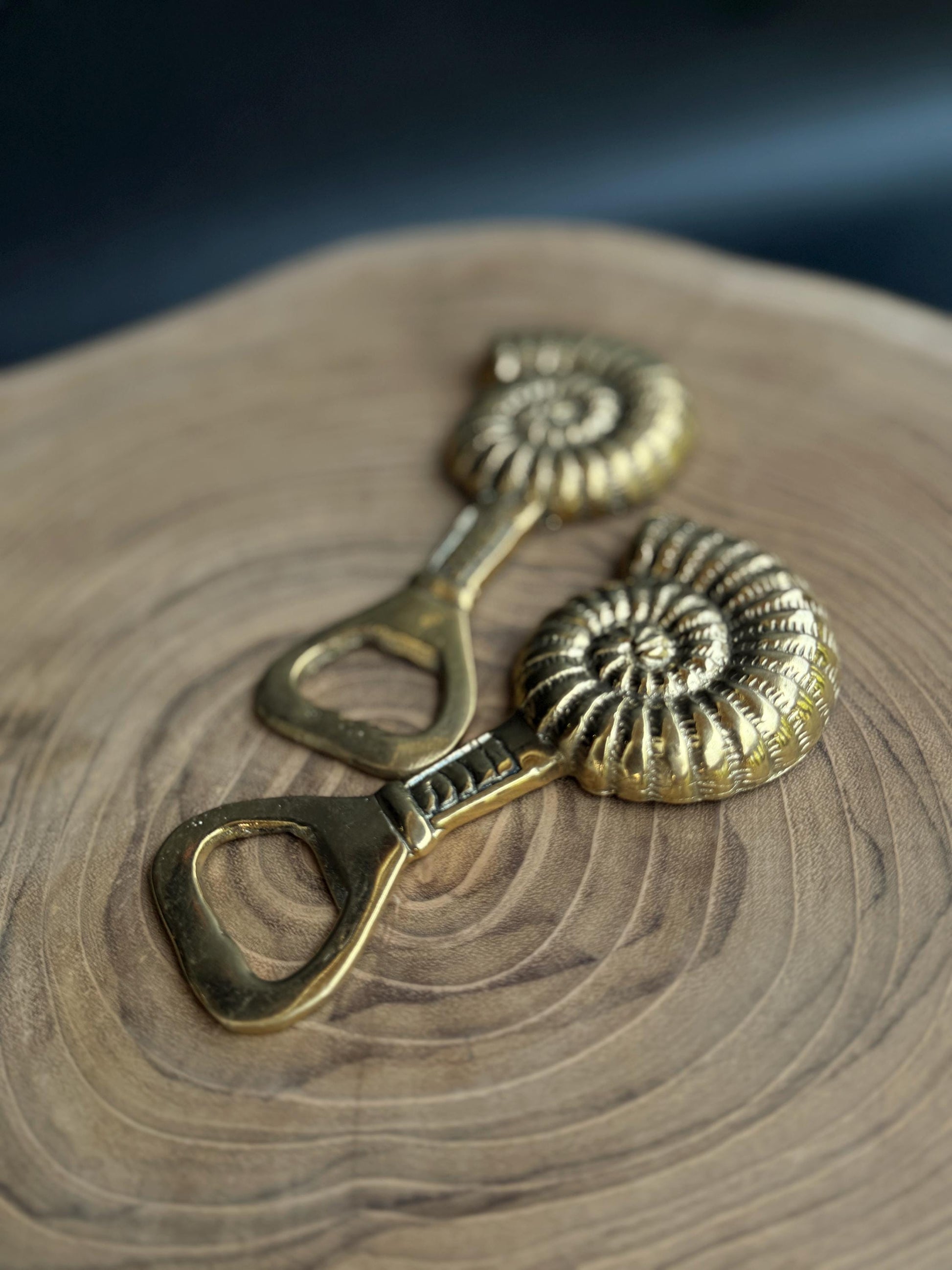 Brass Ammonite Bottle Opener | Nautical Bar Tool