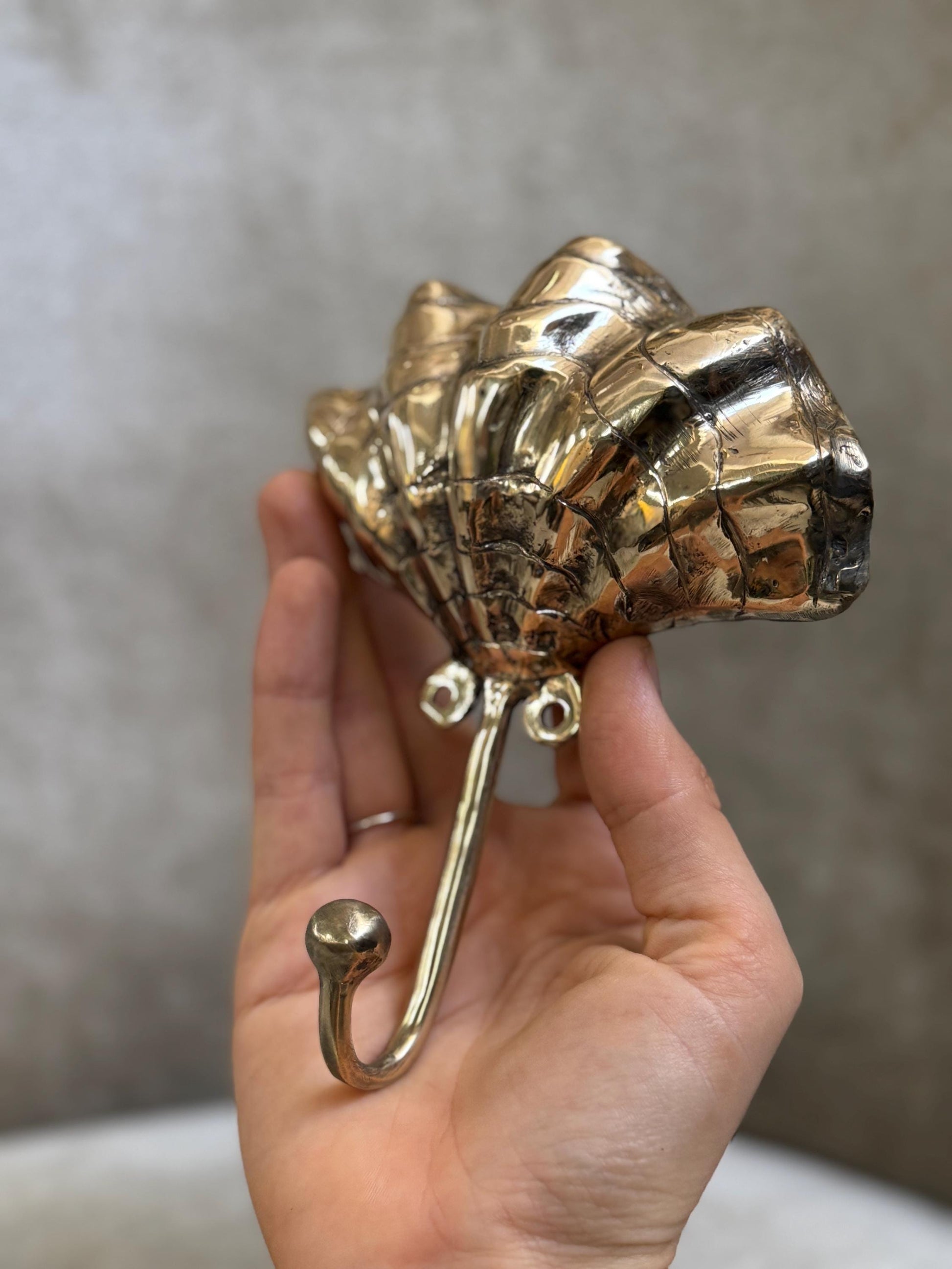 Brass Seashell Hook