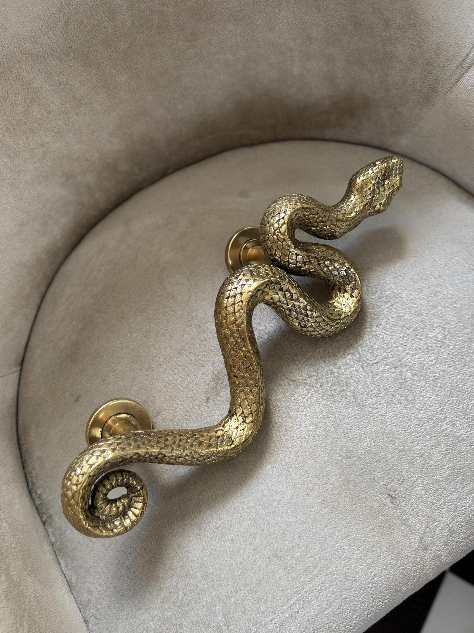 Brass Snake Door Handle