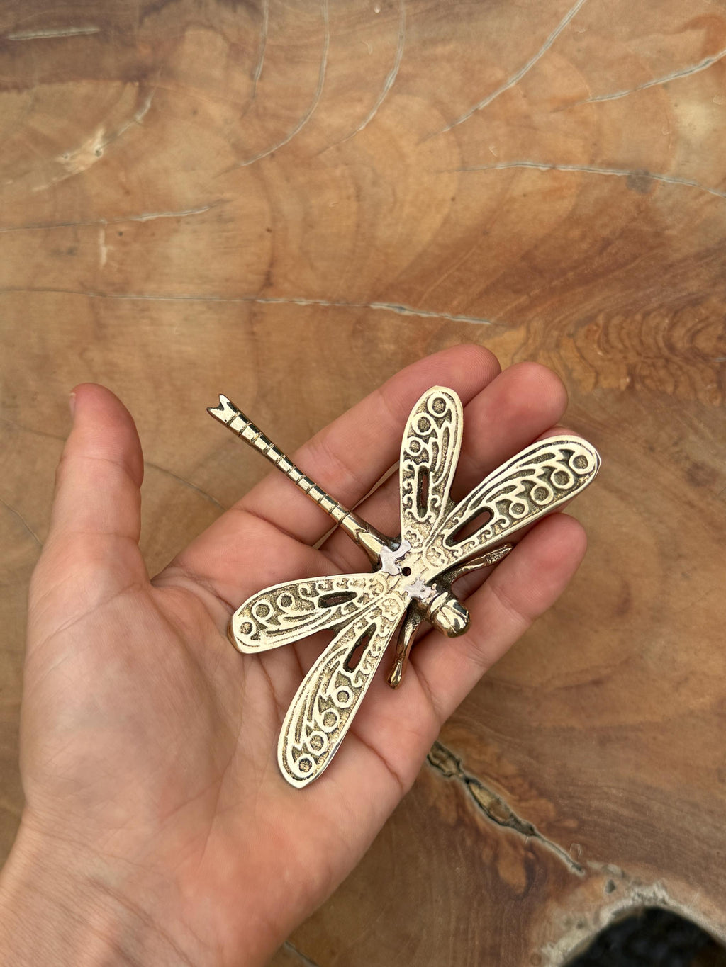 Brass Dragonfly Sculptures