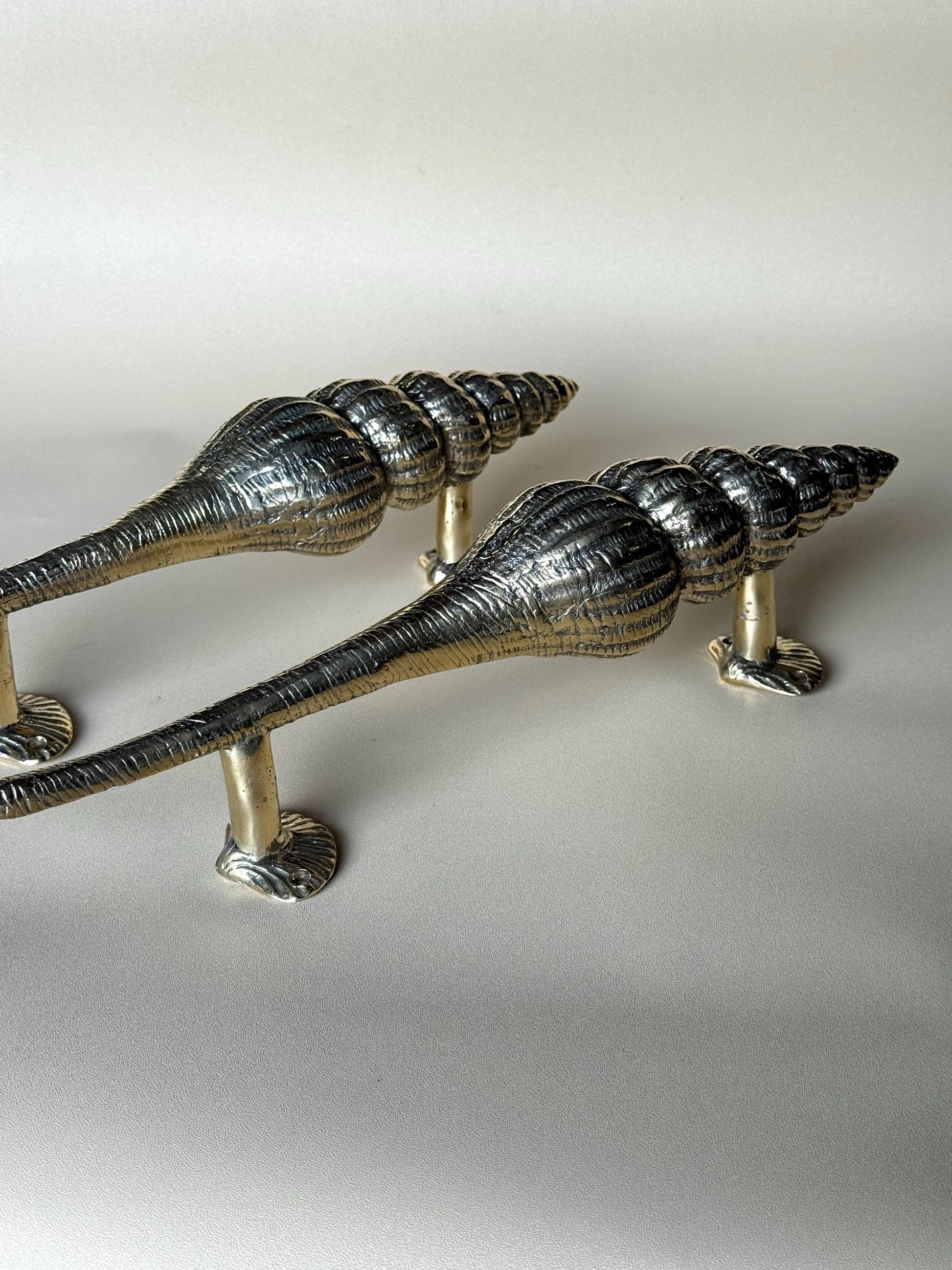 Seashell Brass Door Handle