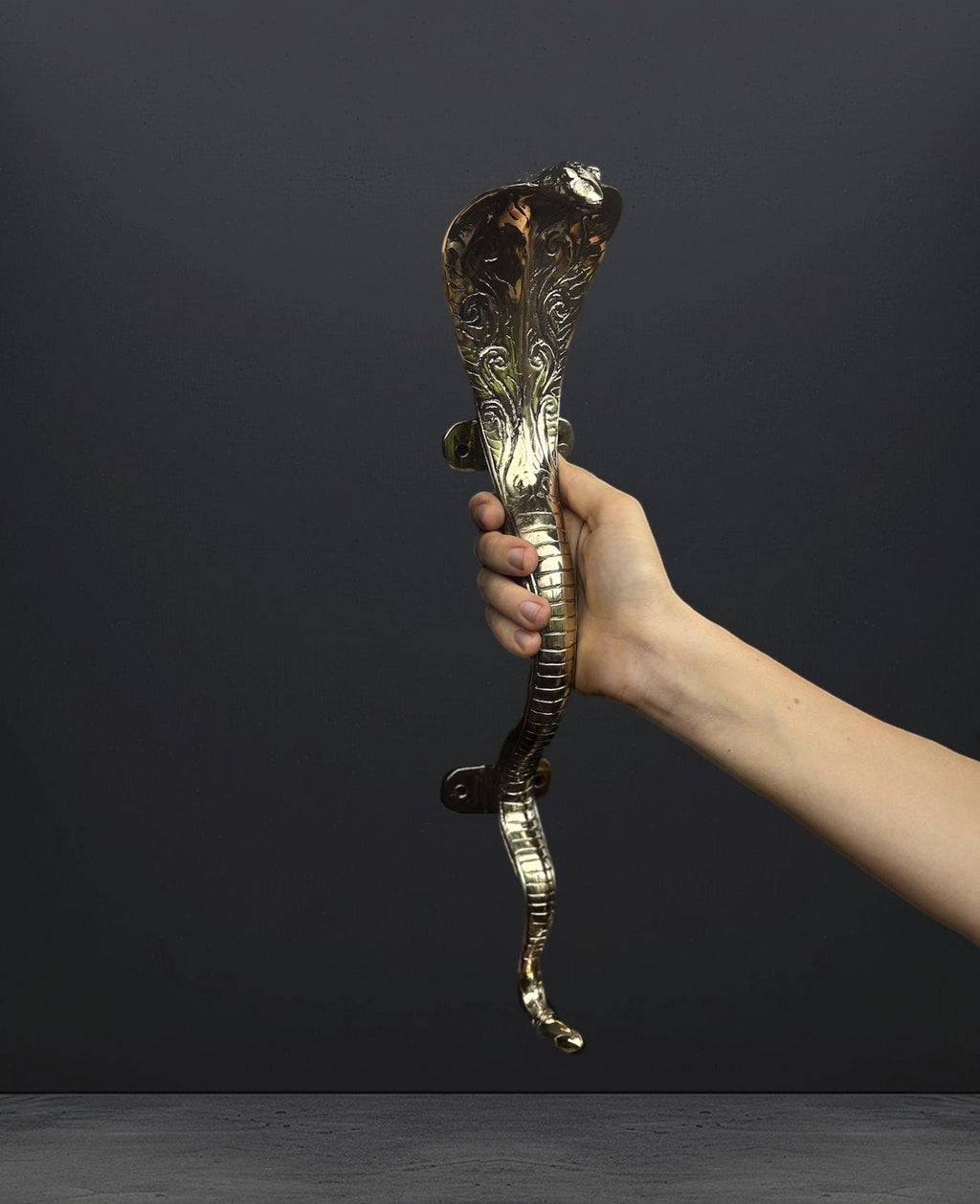 Brass Cobra Door Handle
