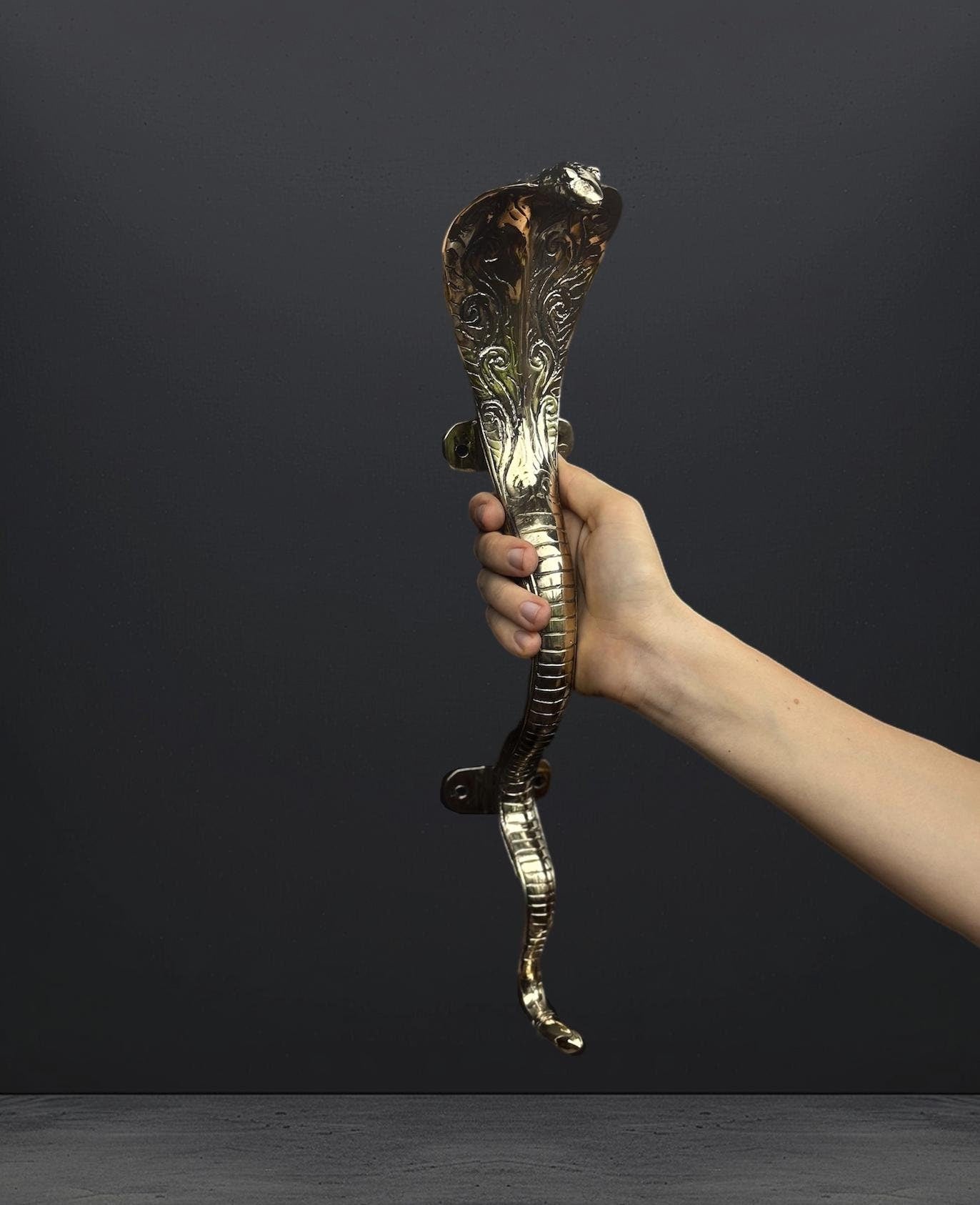 Brass Cobra Door Handle
