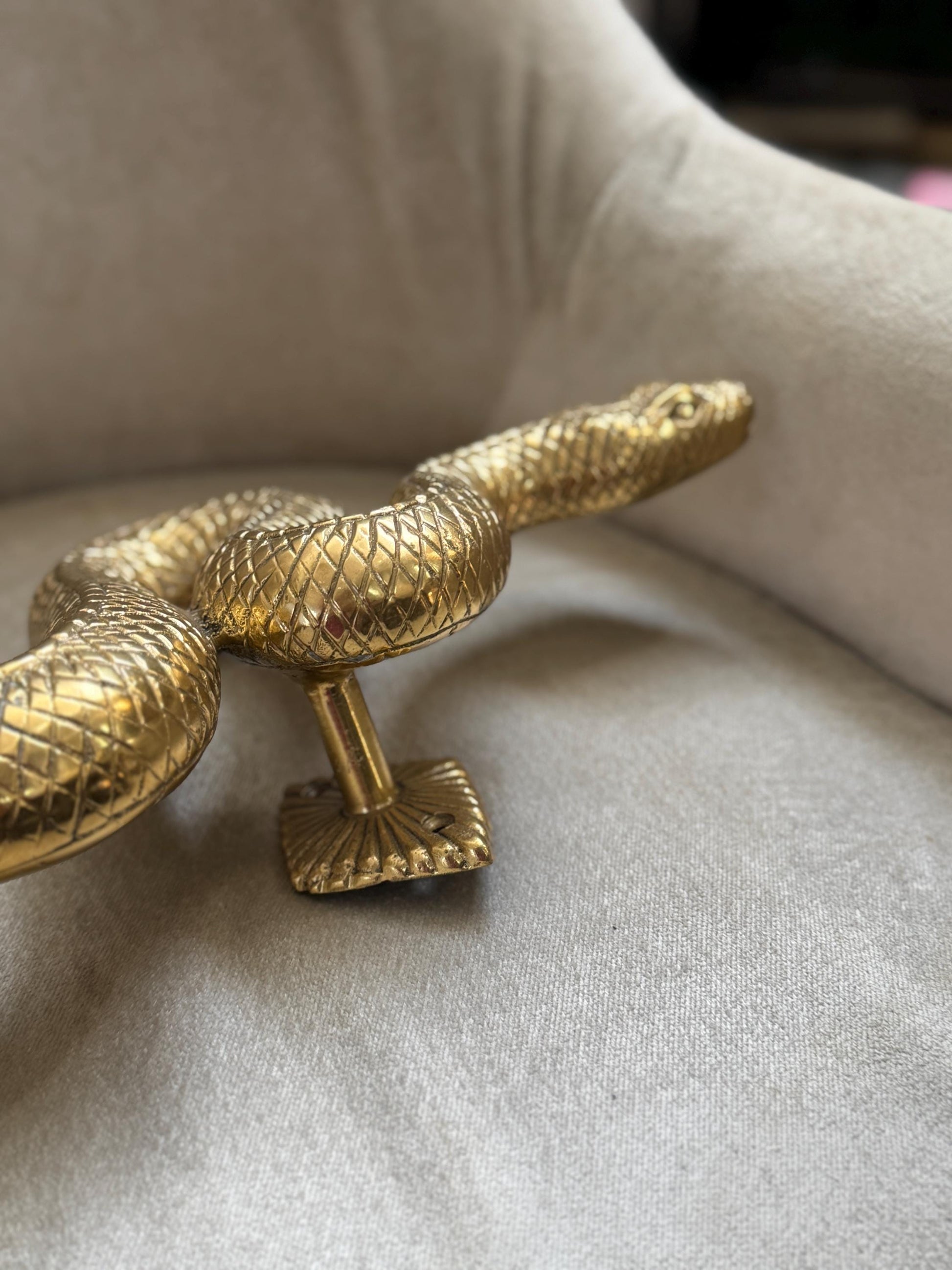 Brass Snake Door Handle
