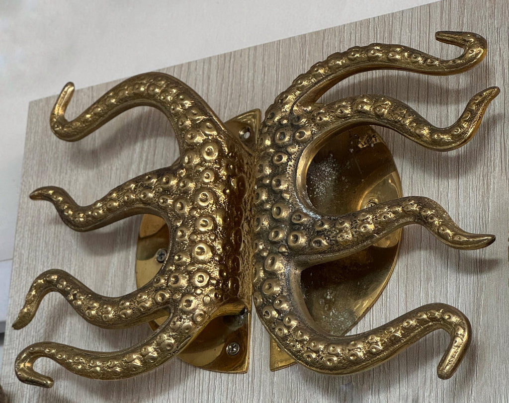 Whimsical Octopus Tentacle Door Handle