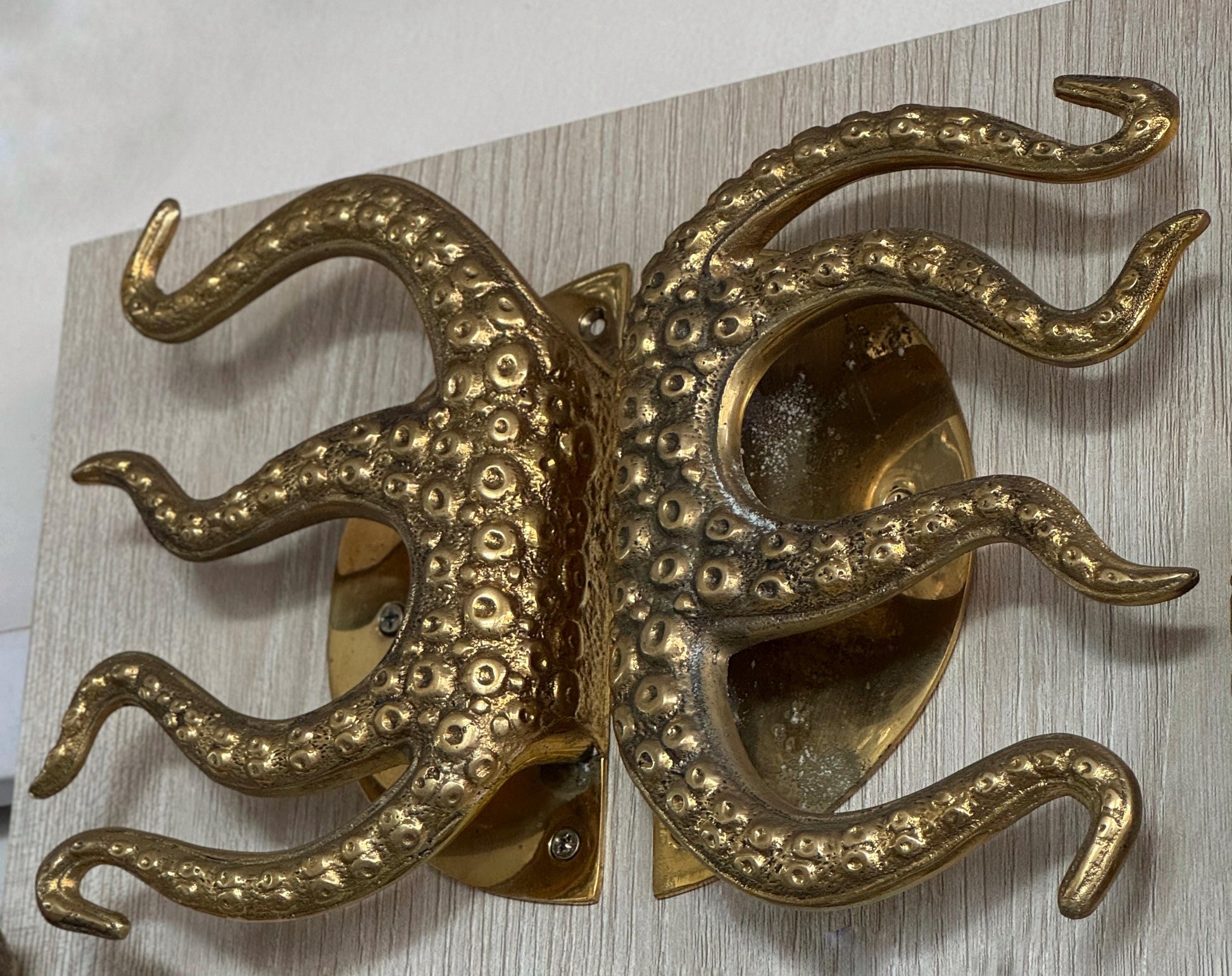 Whimsical Octopus Tentacle Door Handle