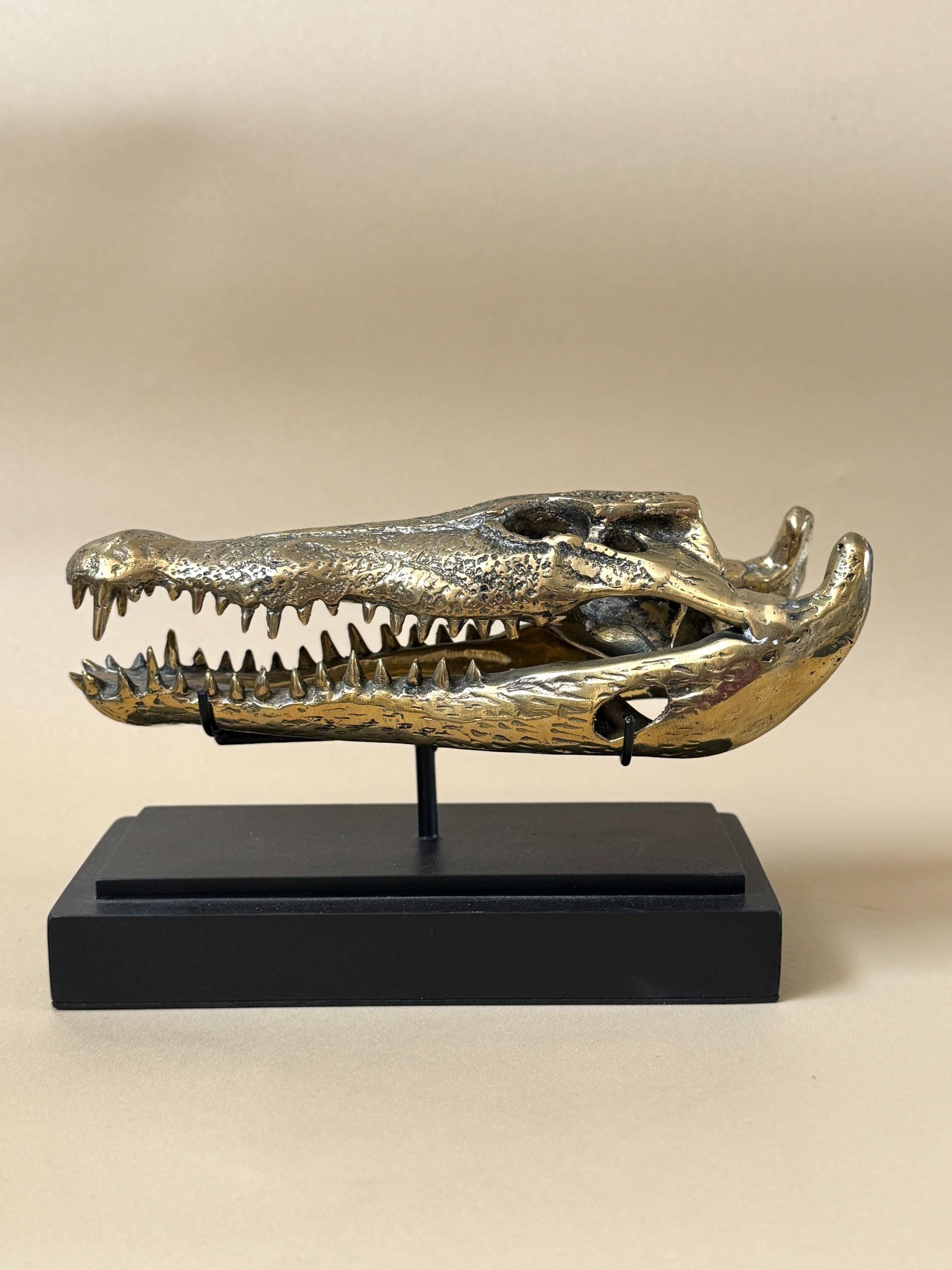 Gold Crocodile Skull Statue on Stand