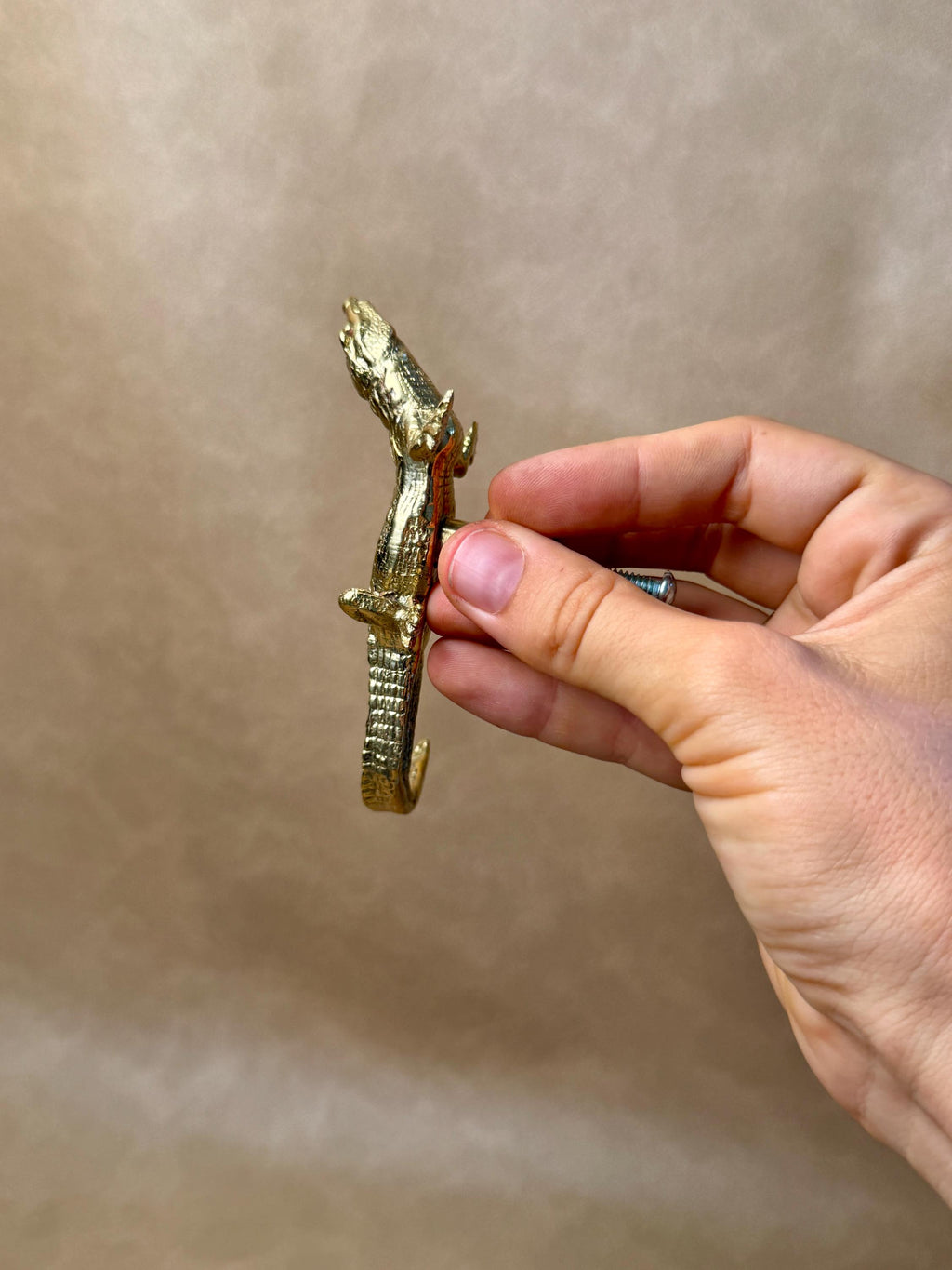 Edge view of a brass gecko knob held between the fingers, showing its slim profile