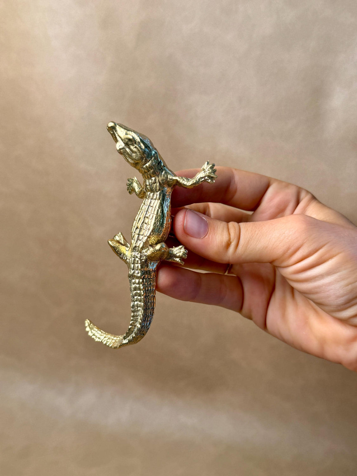 Hand holding a gold-finish brass gecko cabinet knob, back view