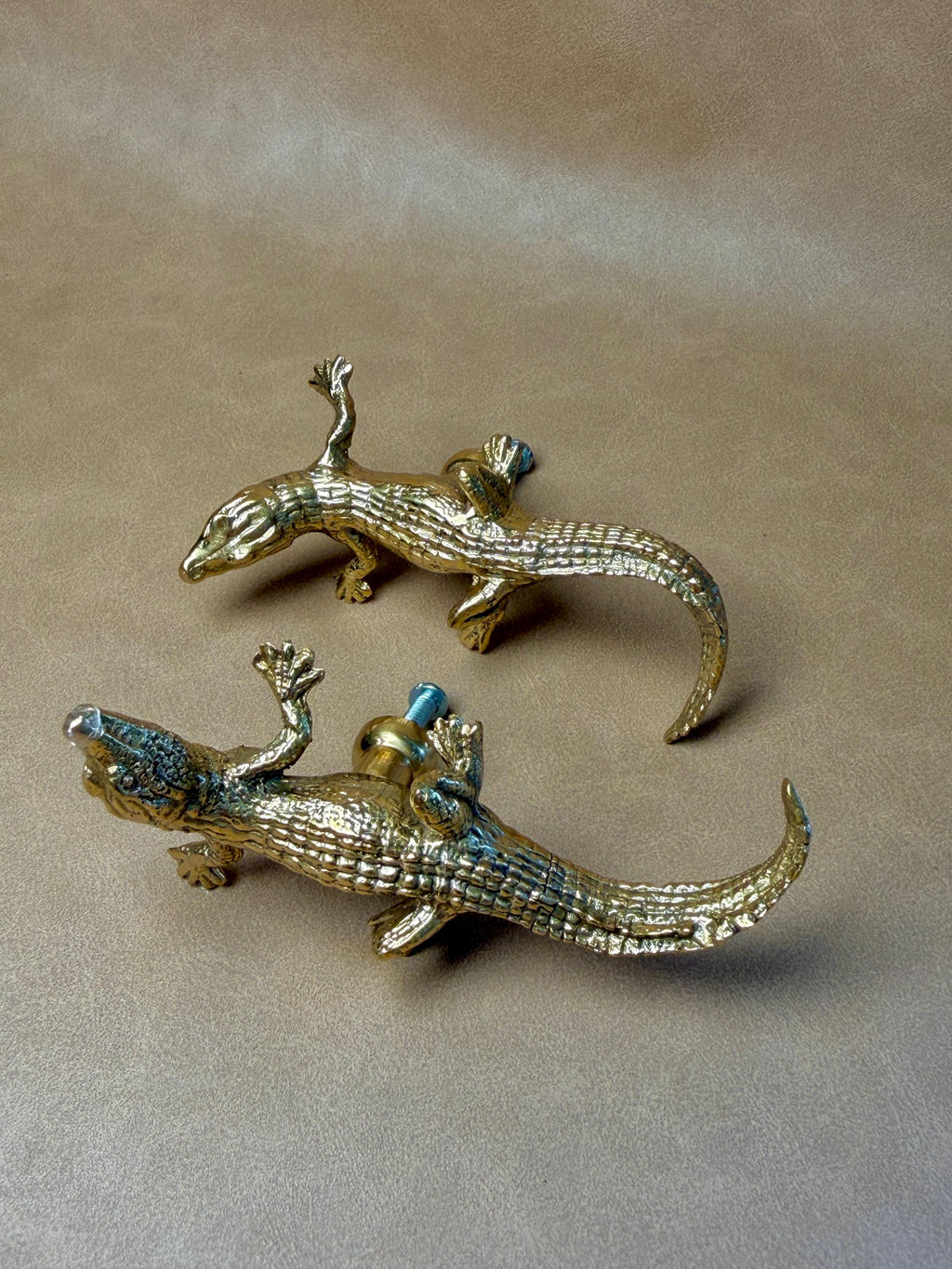 Two gold brass gecko knobs lying close together, showing their textured scales and curved tails