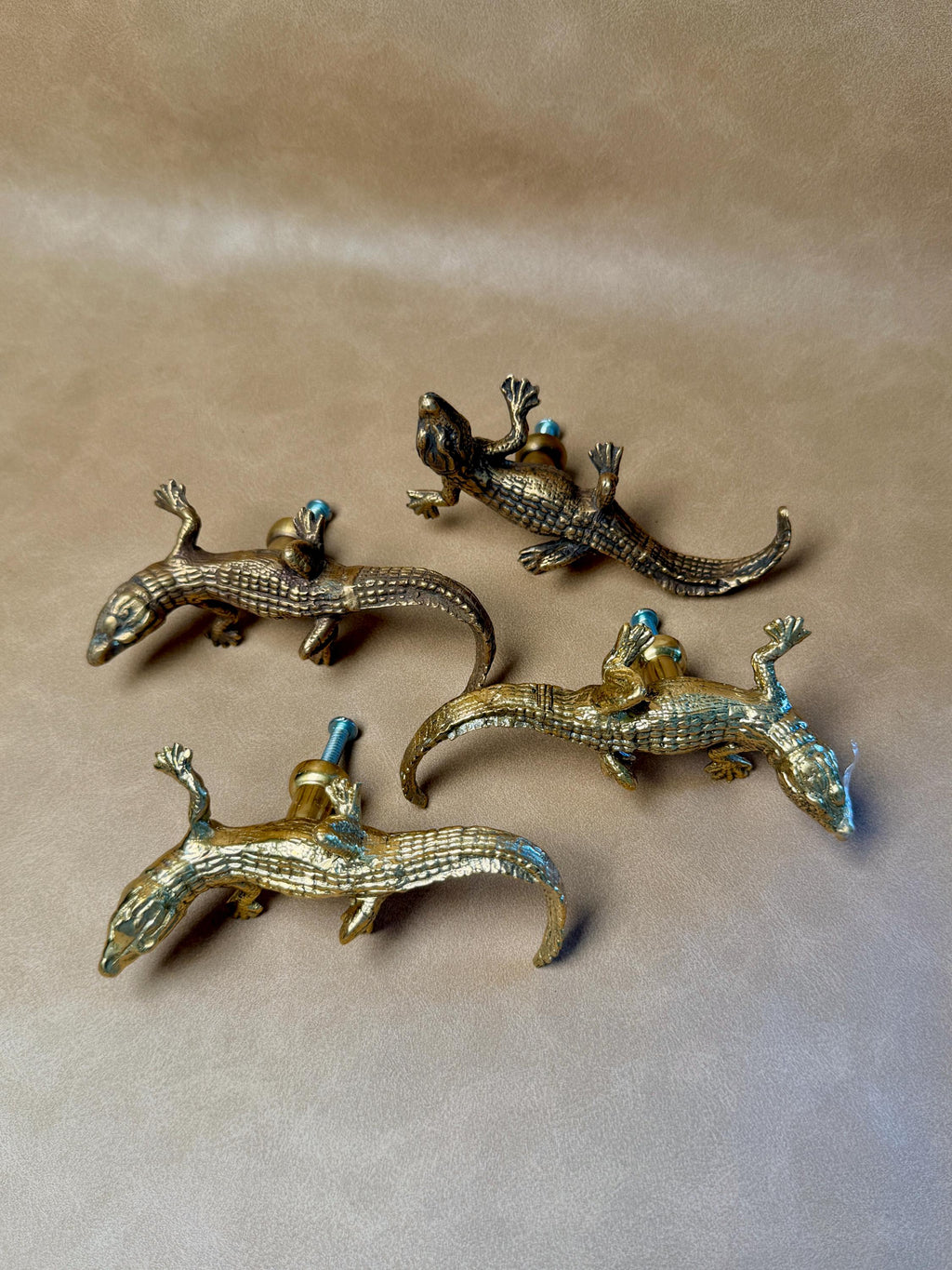 Four brass gecko knobs in gold and antique finishes lying on a beige background