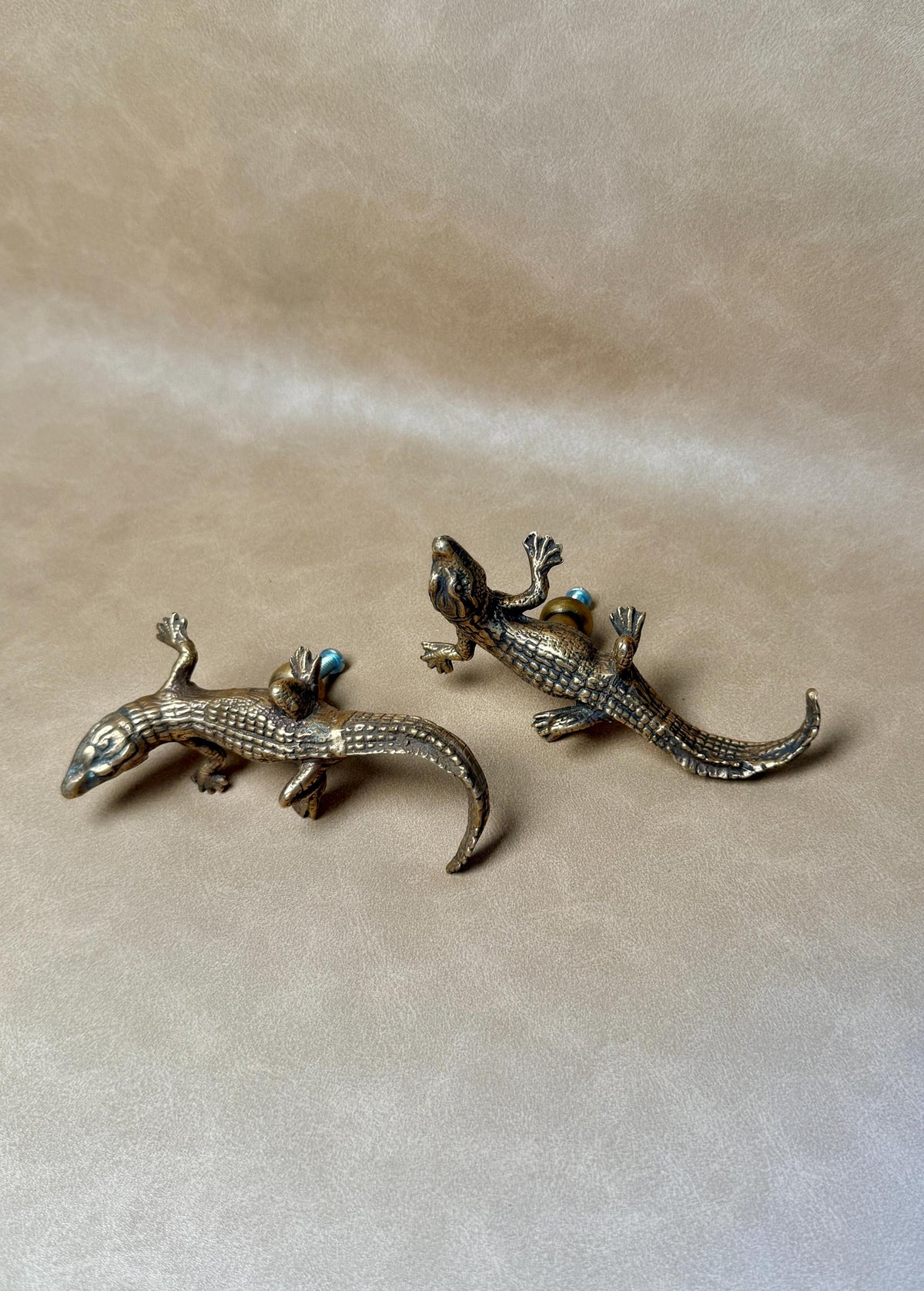 Two antique-finish brass gecko cabinet knobs lying on a beige background