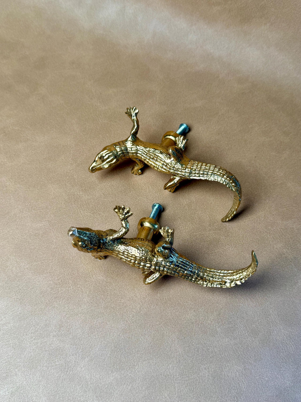 Two gold brass gecko cabinet knobs lying on a beige background