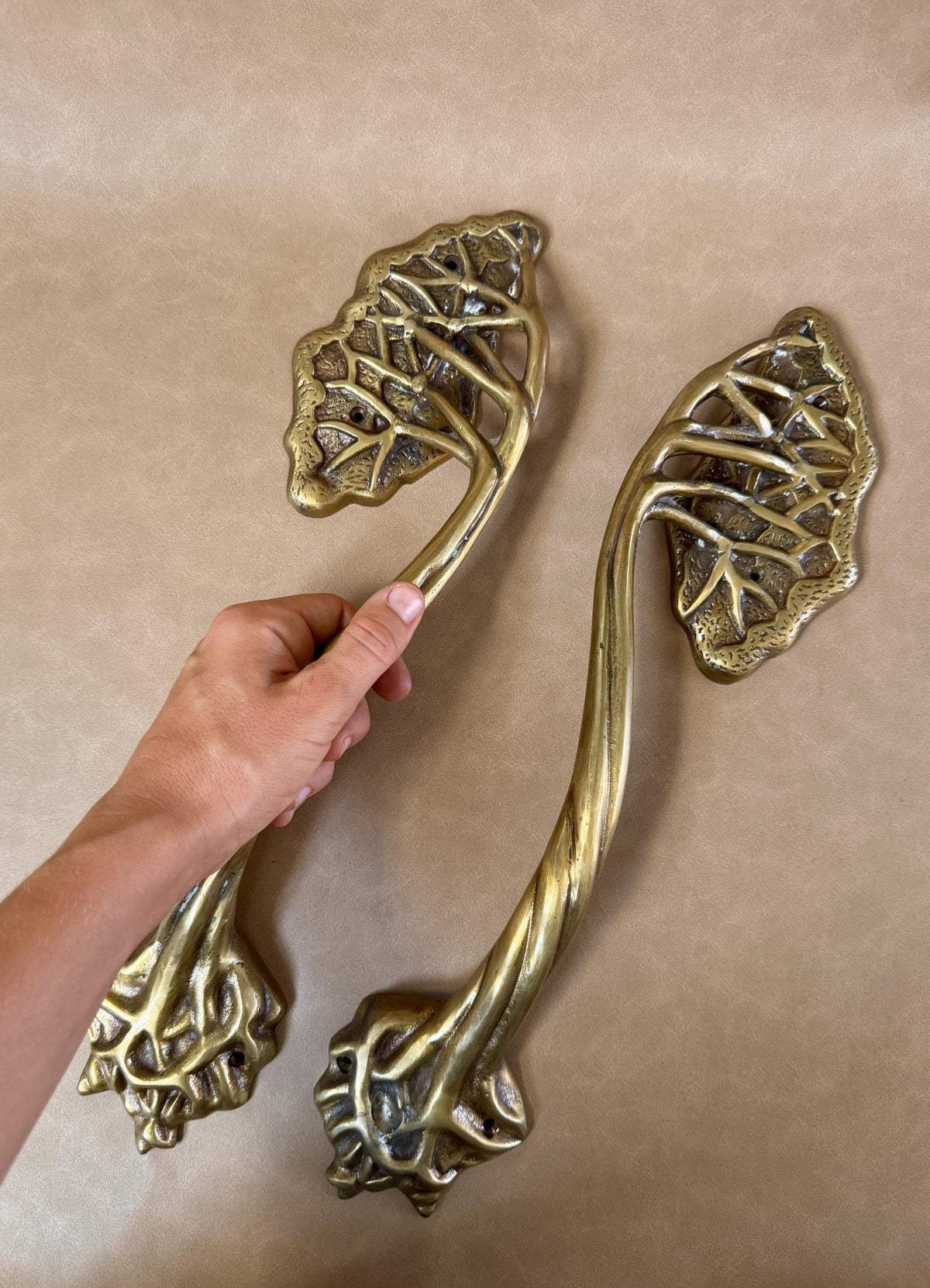 Hand holding one brass tree branch handle next to a second handle