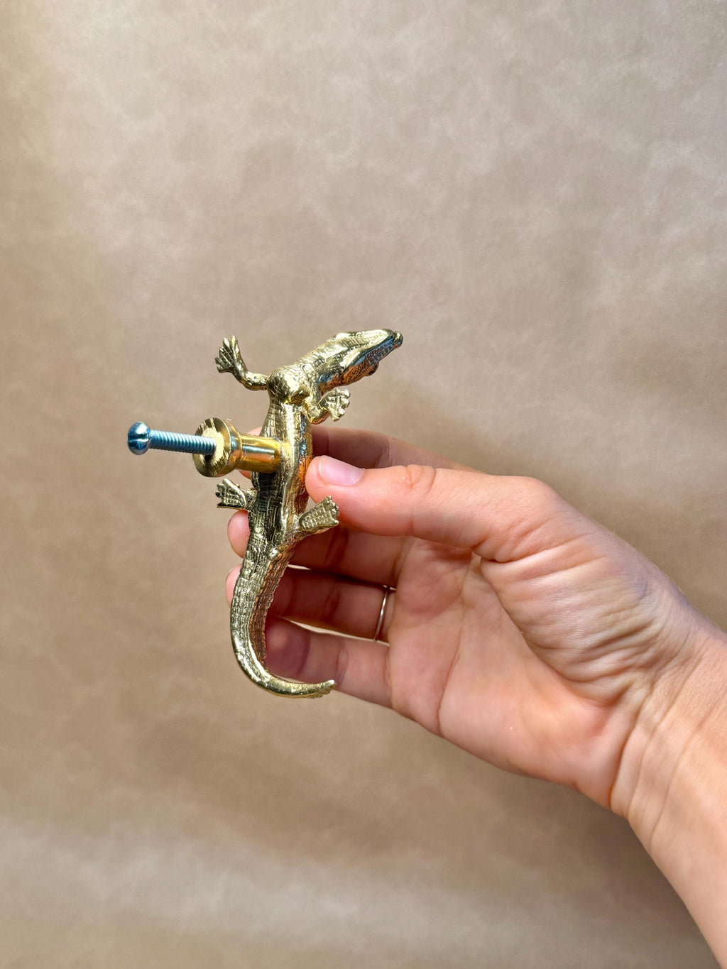 Hand holding a gold brass gecko knob with its mounting screw attached