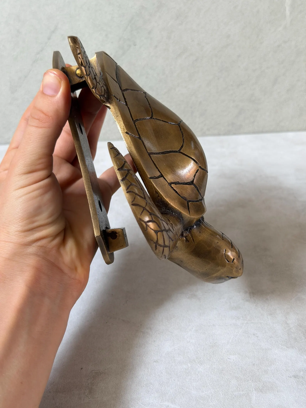 Brass Turtle Door Knocker